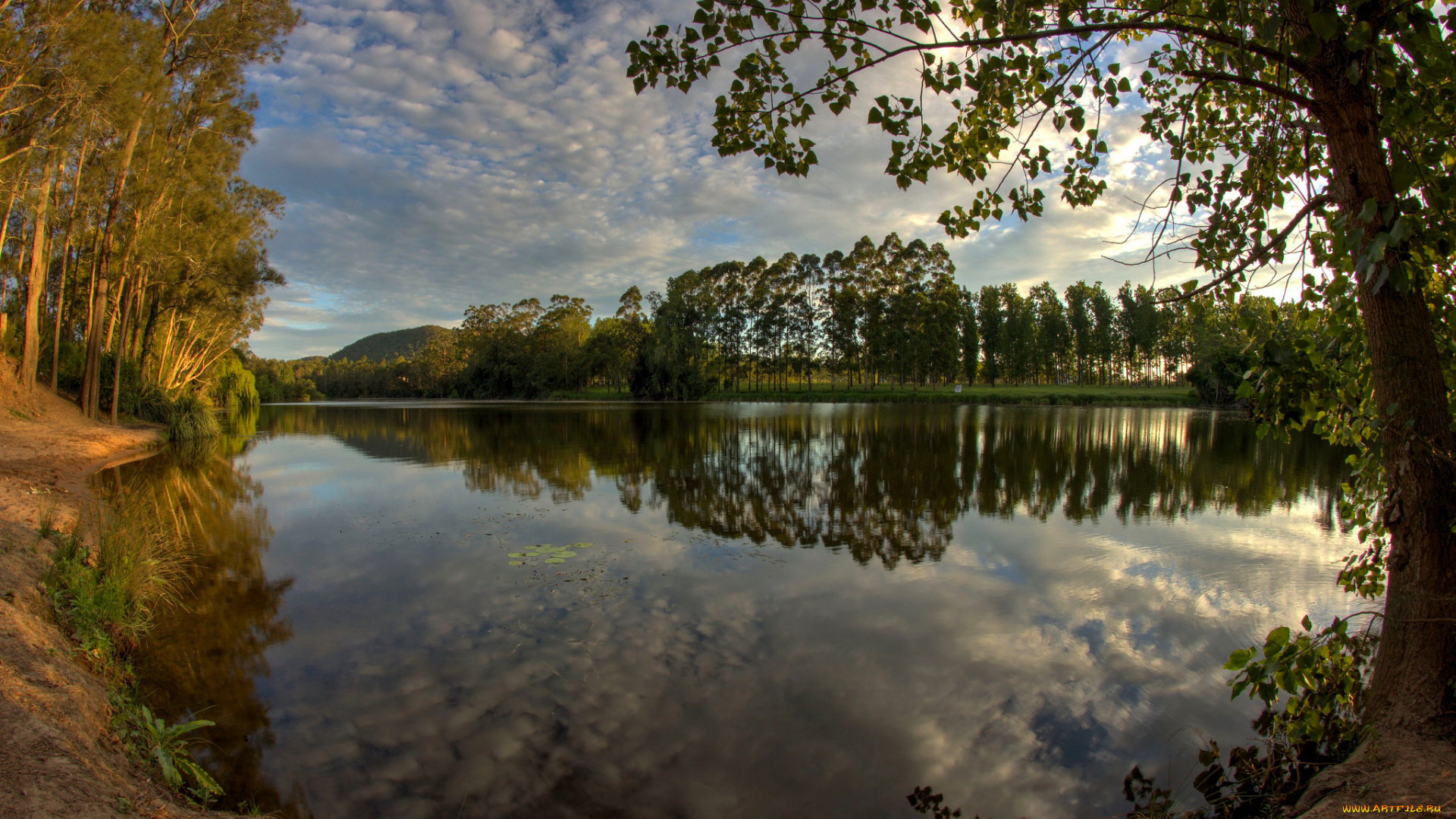 природа, реки, озера, лес, река