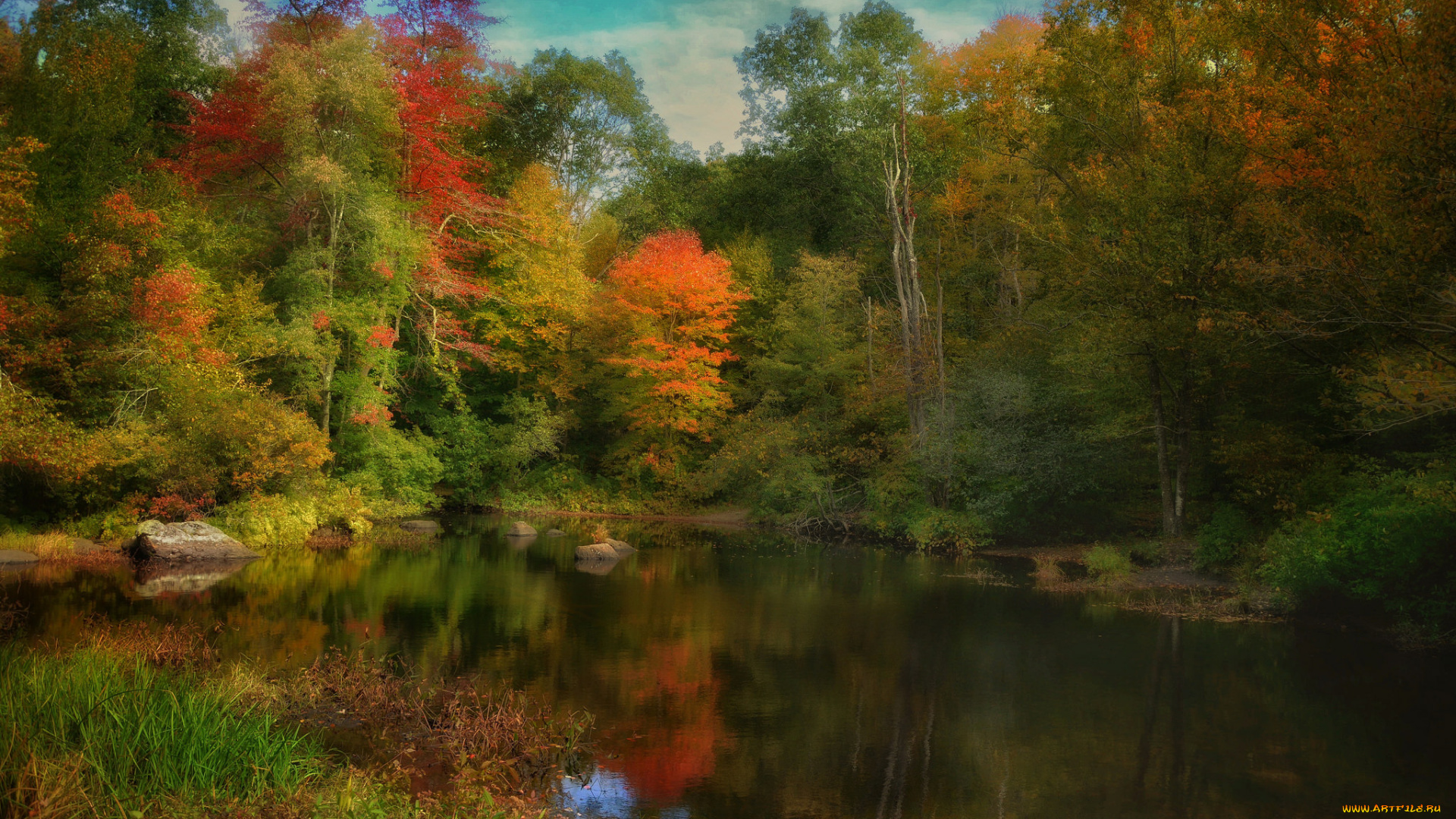 природа, реки, озера, лес, река