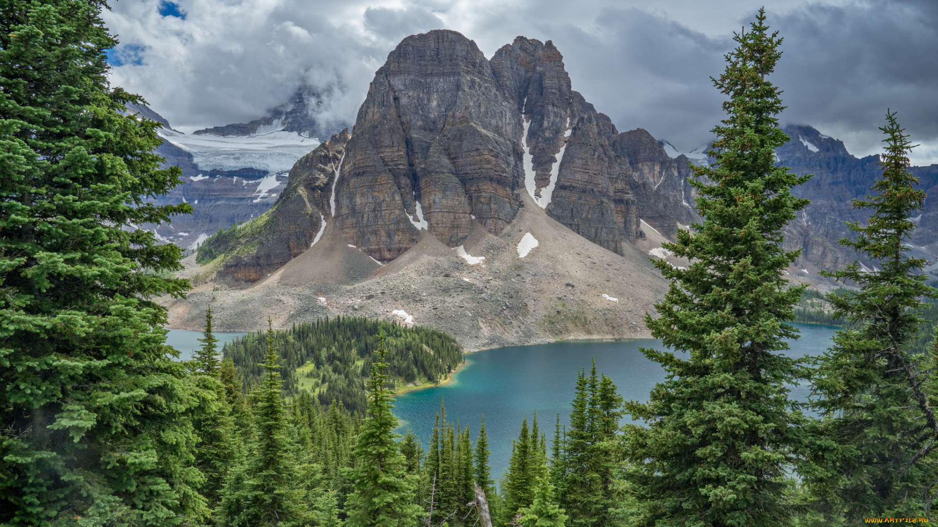 природа, реки, озера, лес, река