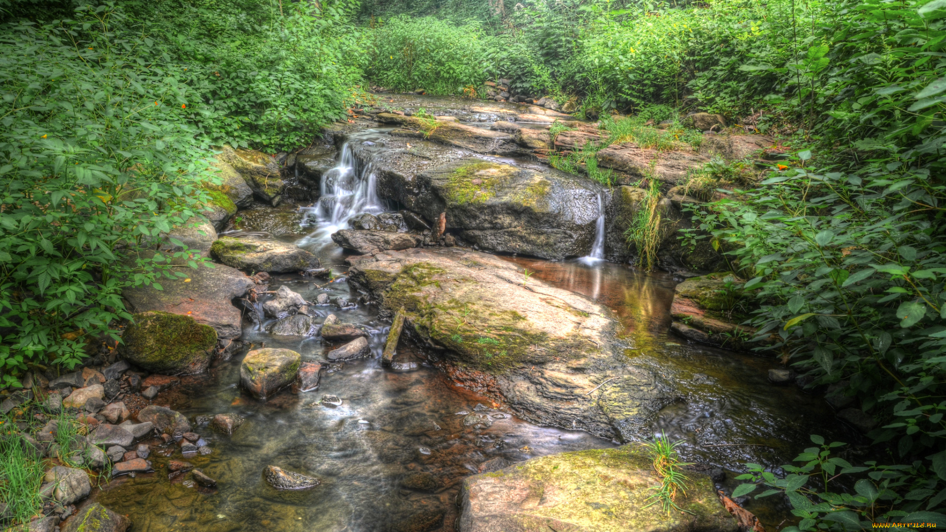 природа, реки, озера, река, лес