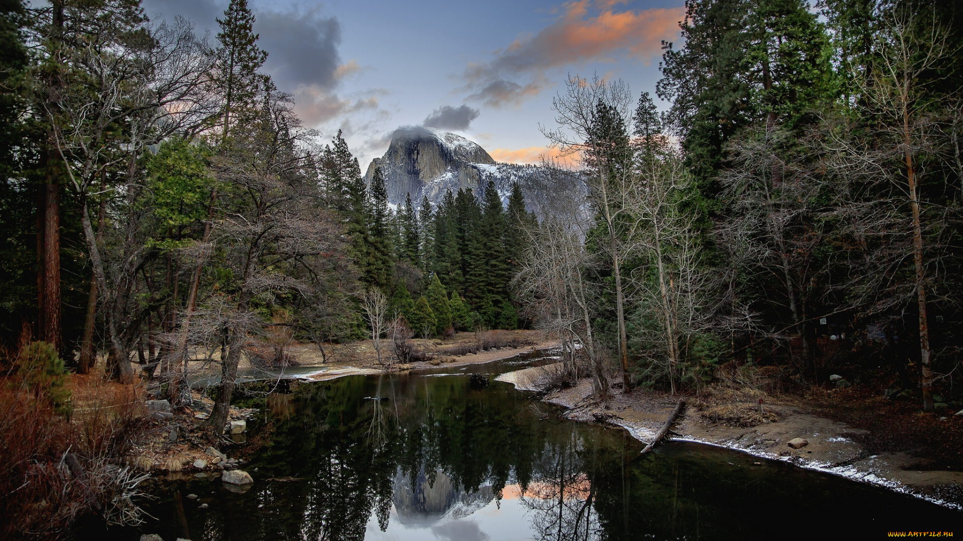 природа, реки, озера, река, лес