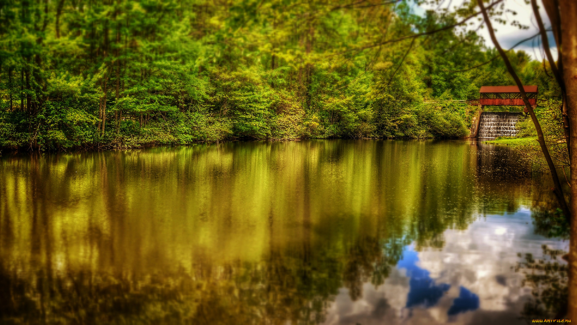 природа, реки, озера, река, лес