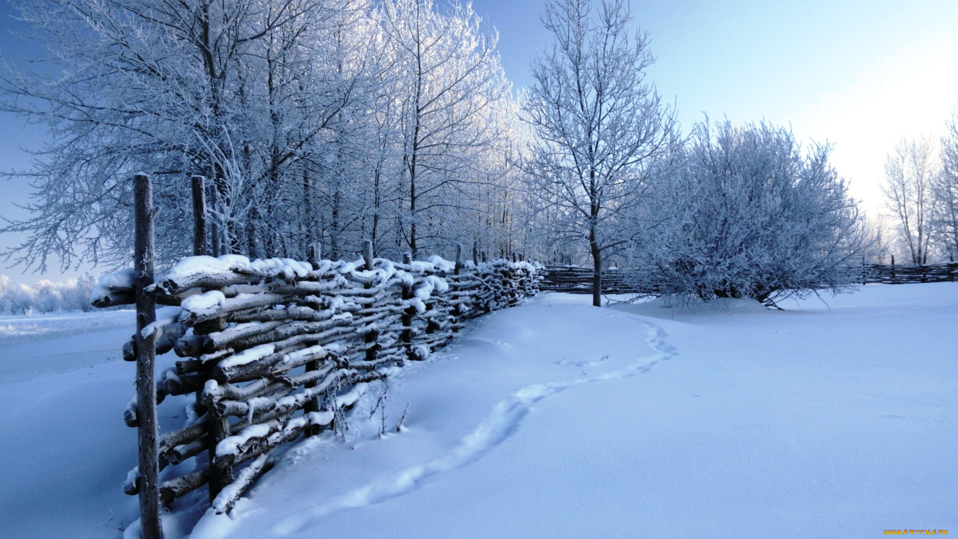 природа, зима, снег, изгородь, следы, кусты, деревья