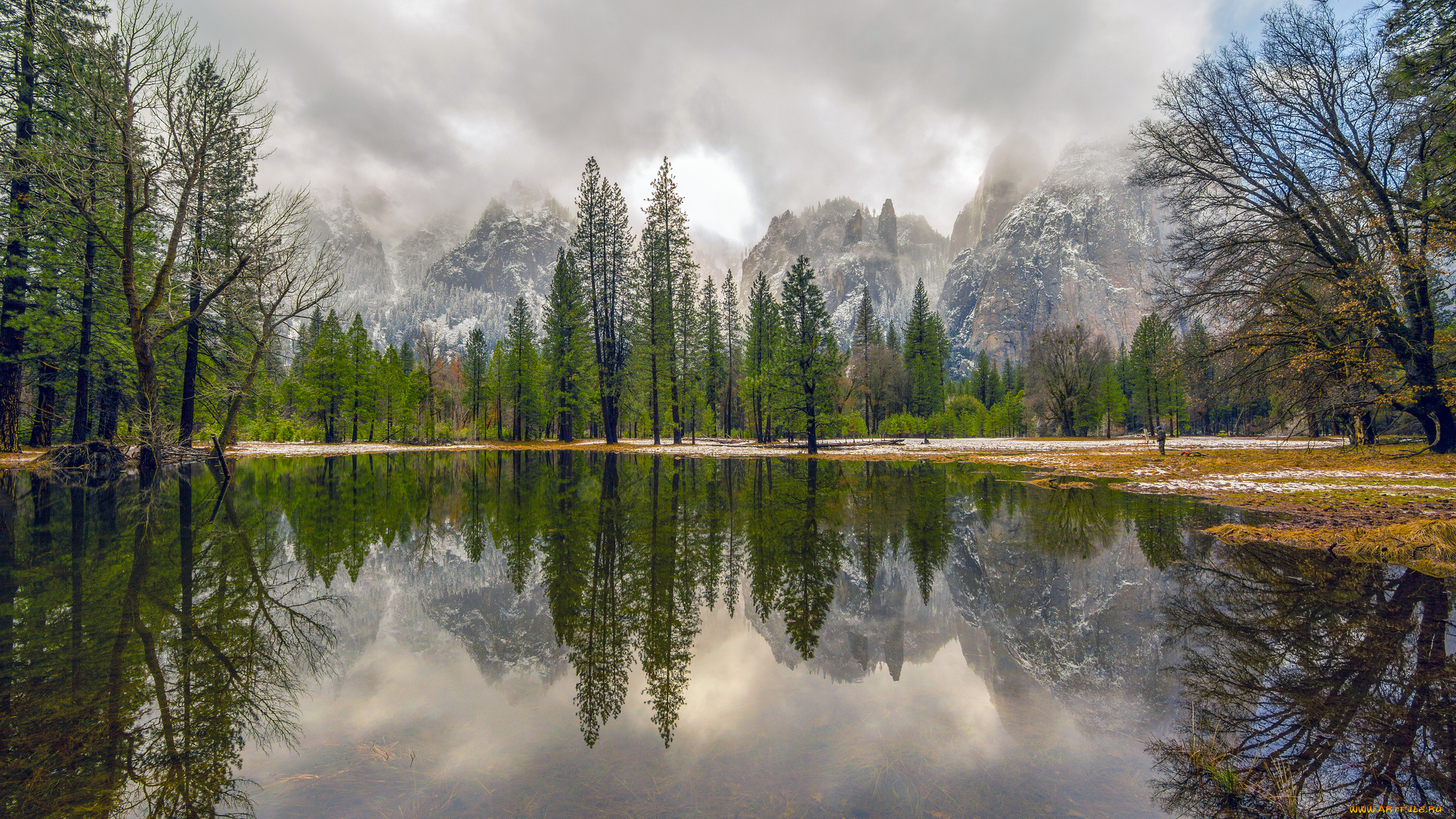 природа, реки, озера, лес, река