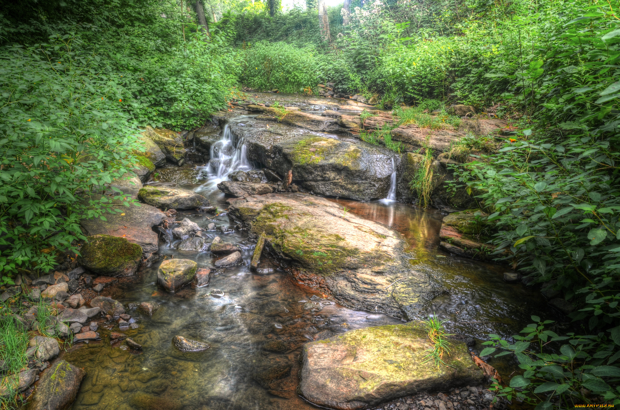 природа, реки, озера, река, лес