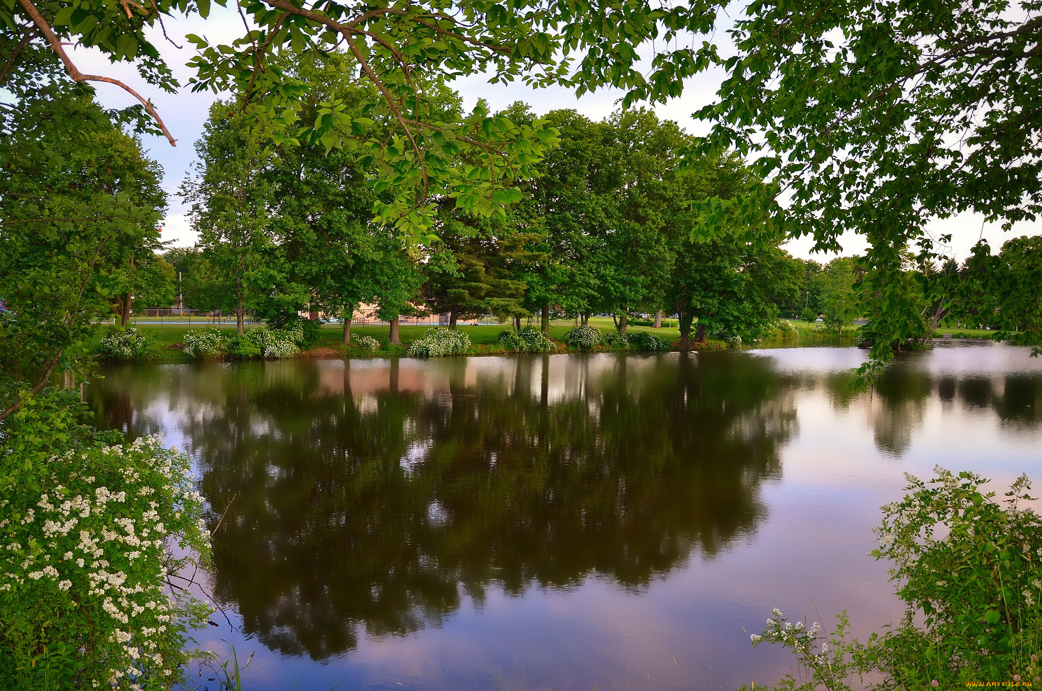 природа, реки, озера, лес, река