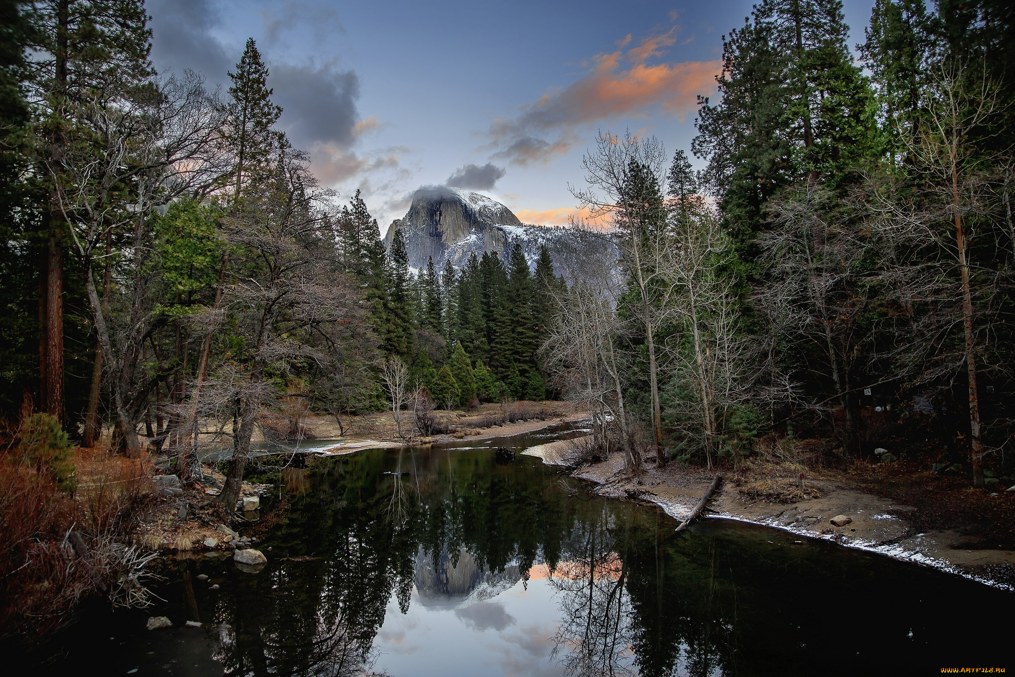 природа, реки, озера, река, лес