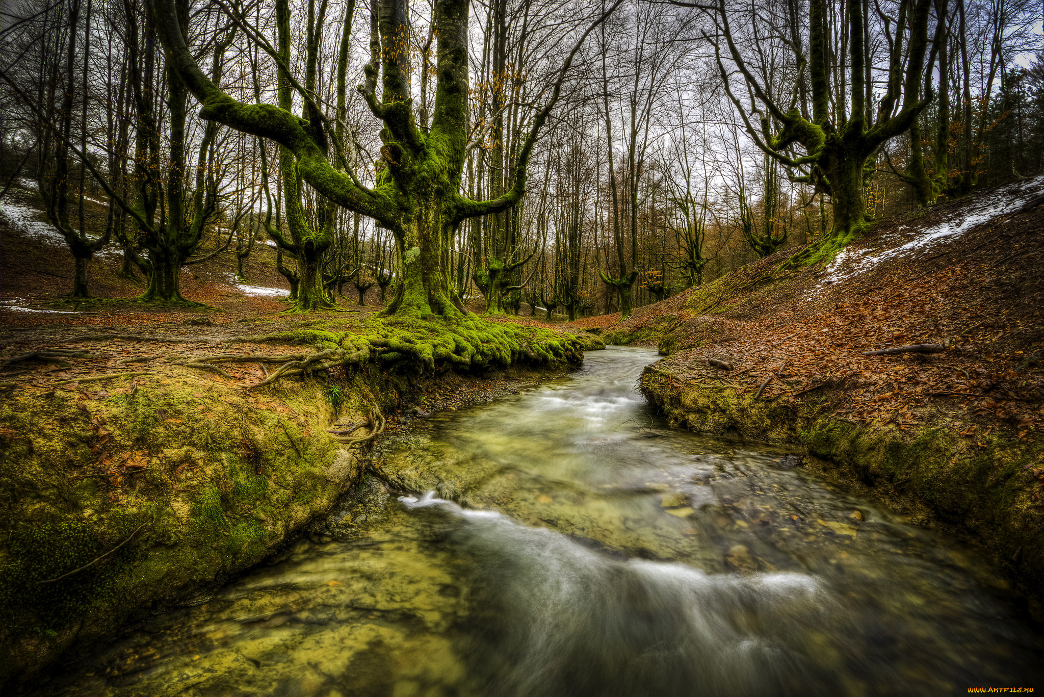 природа, реки, озера, лес, река