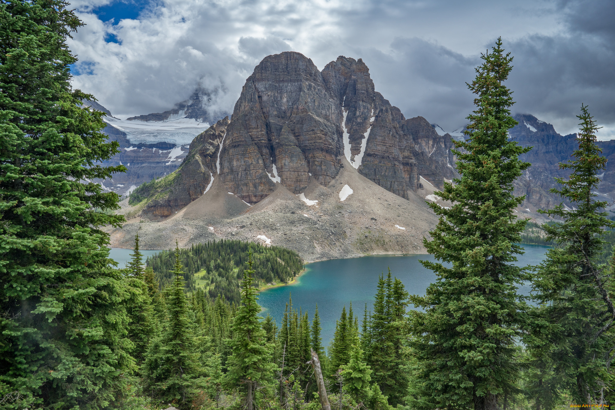 природа, реки, озера, лес, река