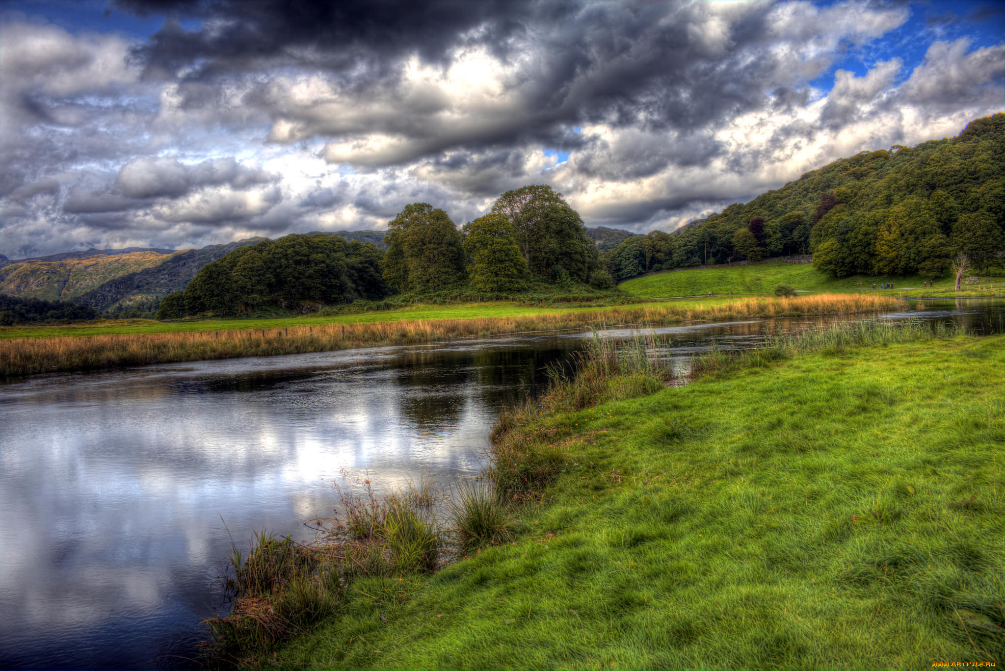 природа, реки, озера, лес, река