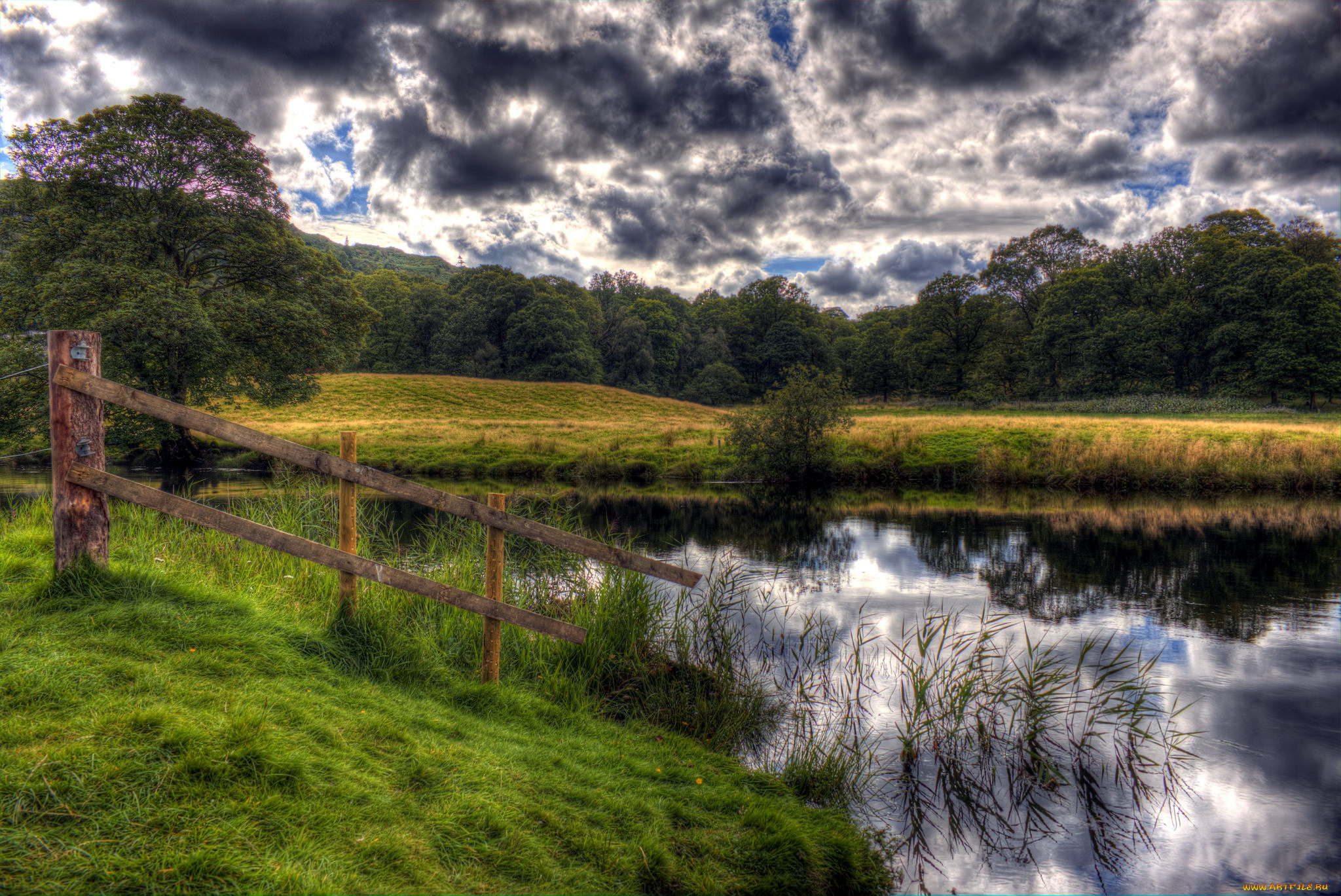 природа, реки, озера, лес, река