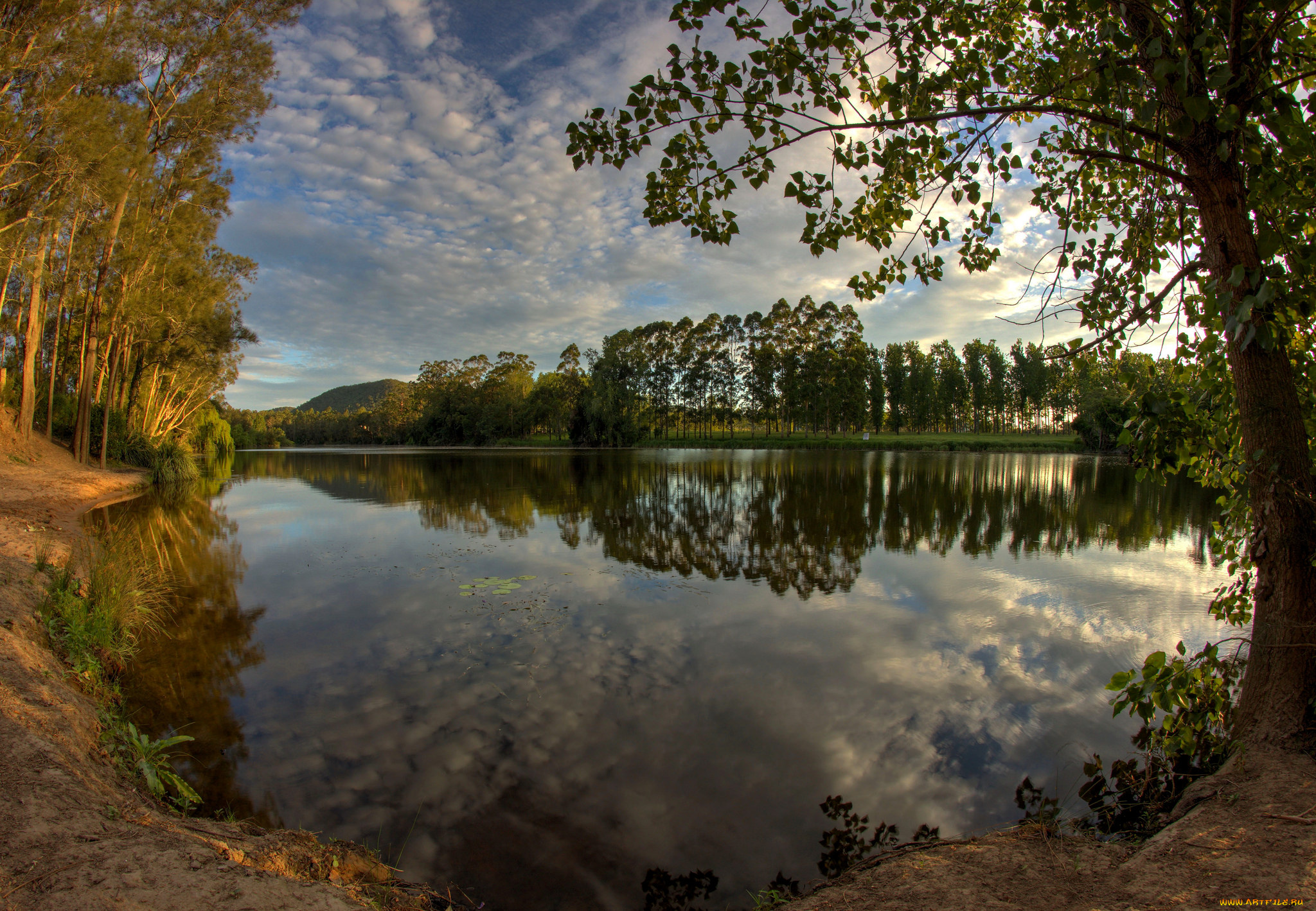 природа, реки, озера, лес, река