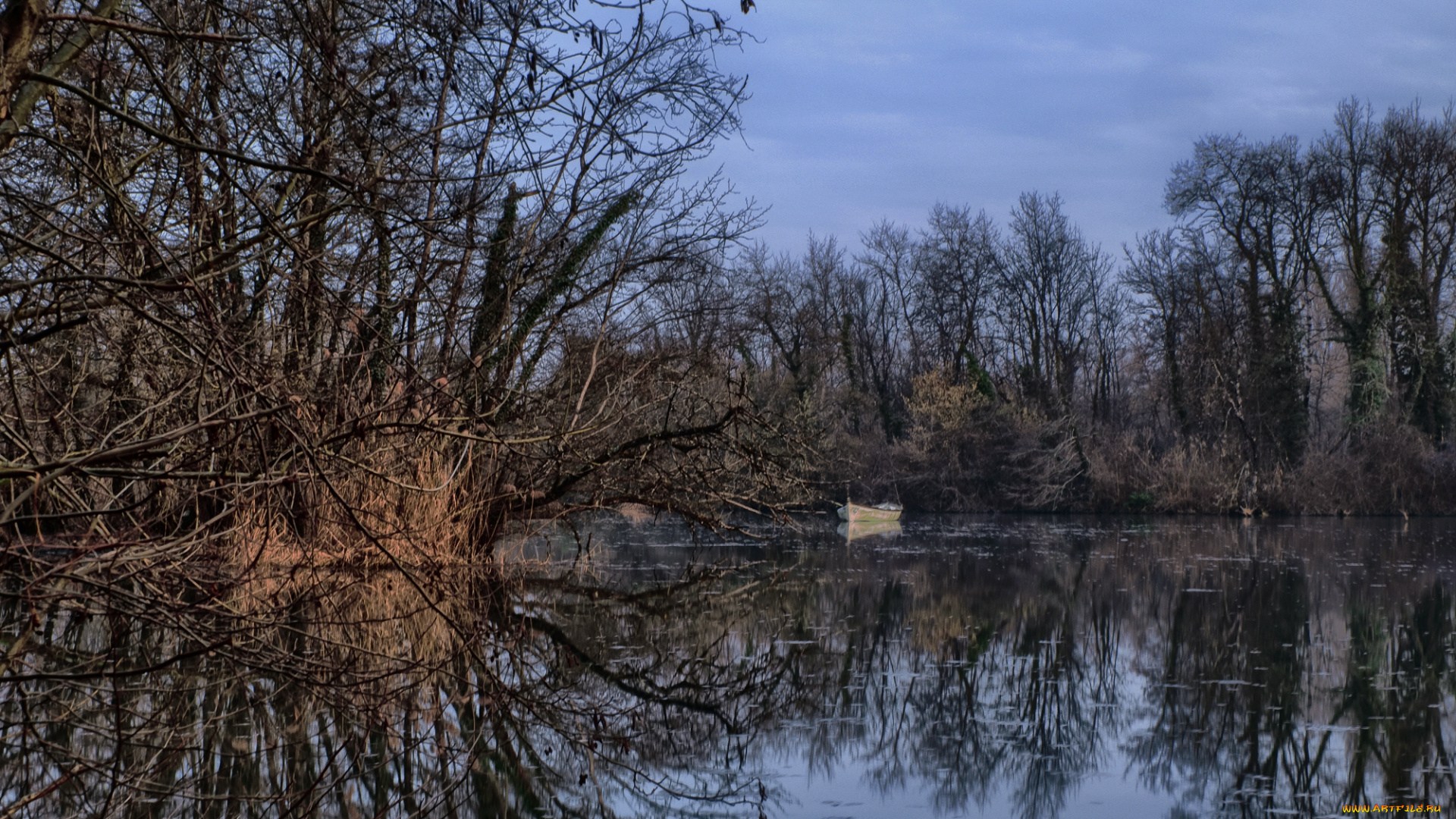 природа, реки, озера, лес, река