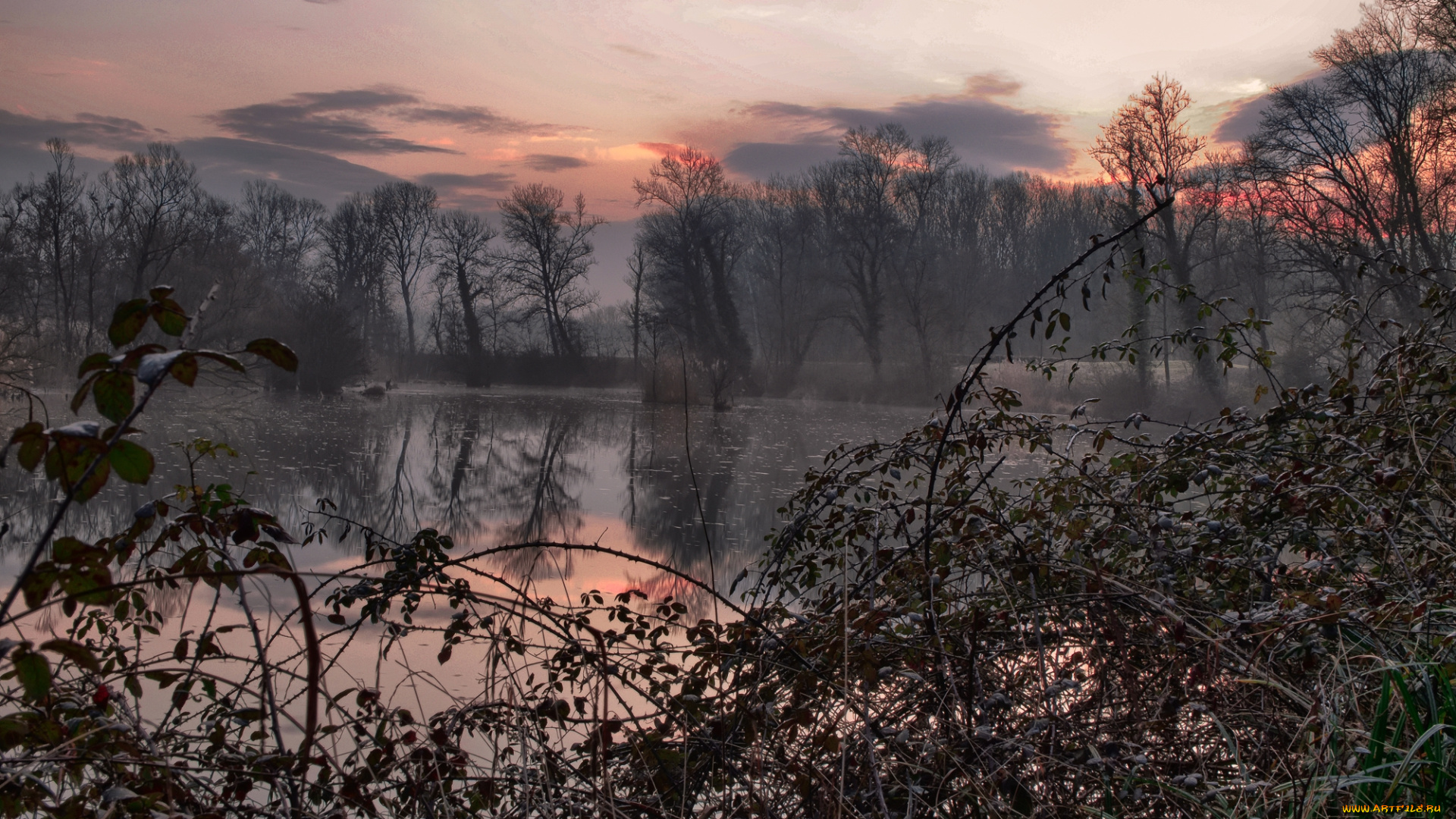 природа, реки, озера, лес, река