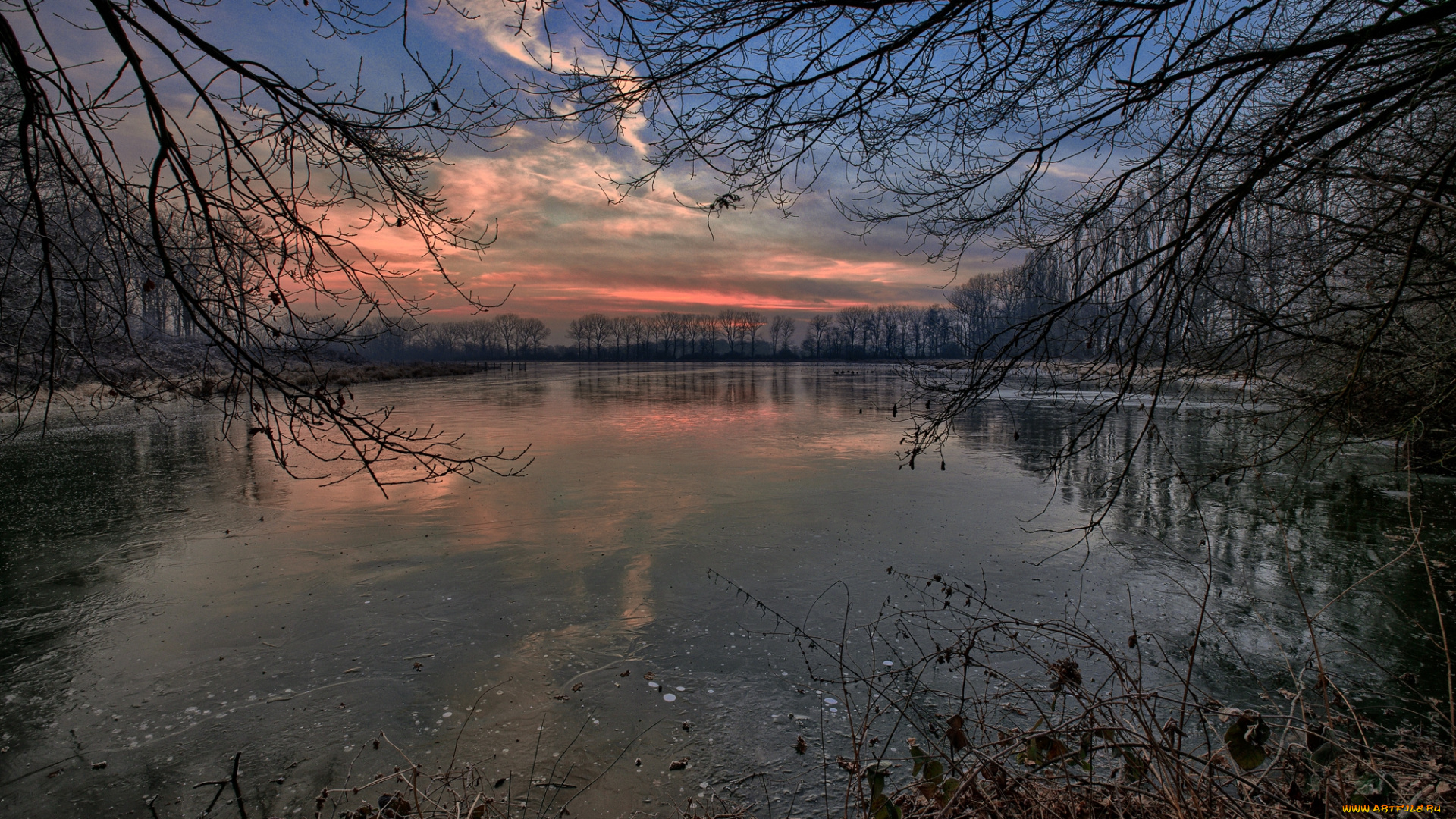 природа, реки, озера, лес, река