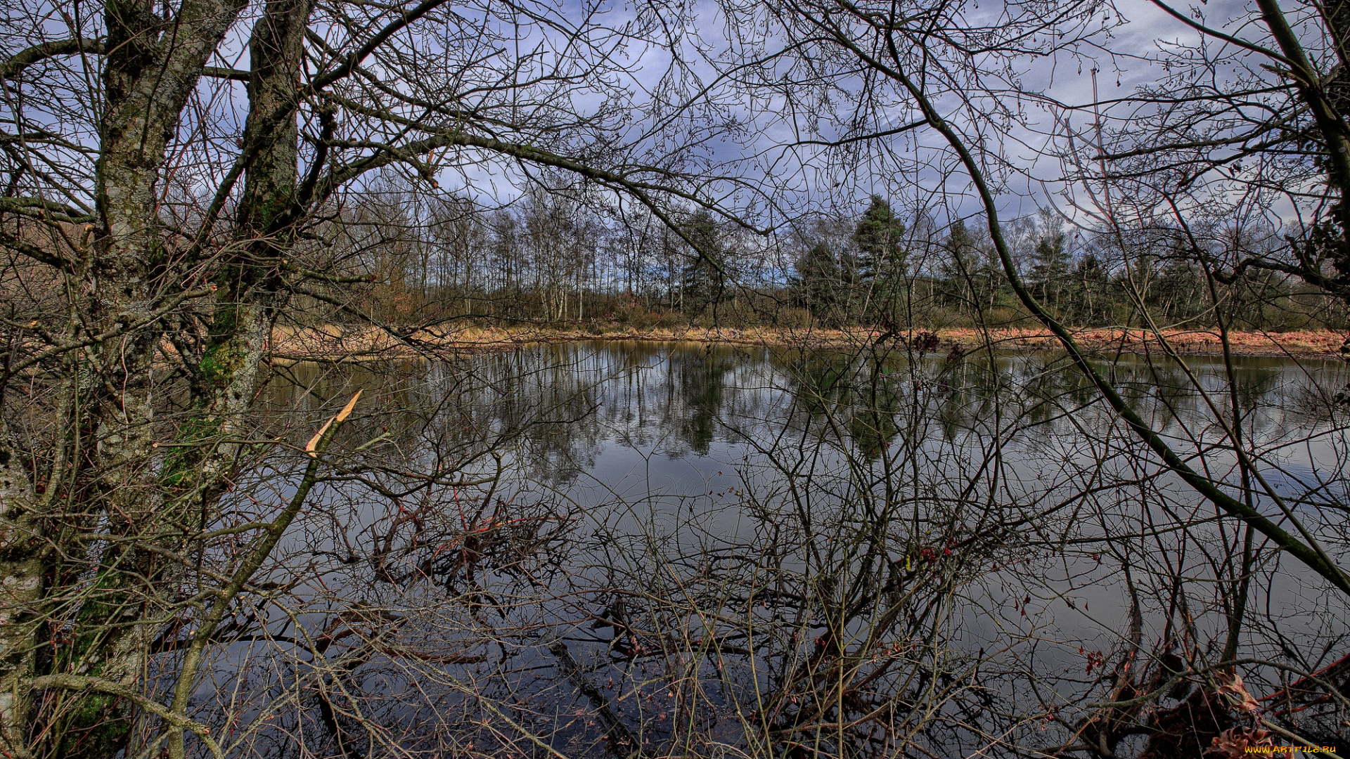 природа, реки, озера, лес, река