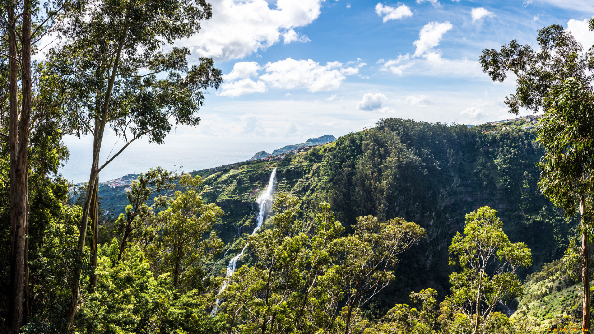 природа, водопады, лес, река, водопад