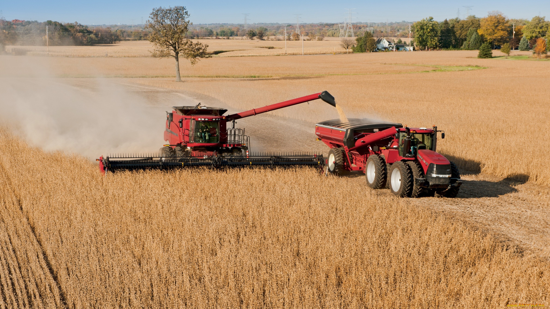 техника, комбайны, case