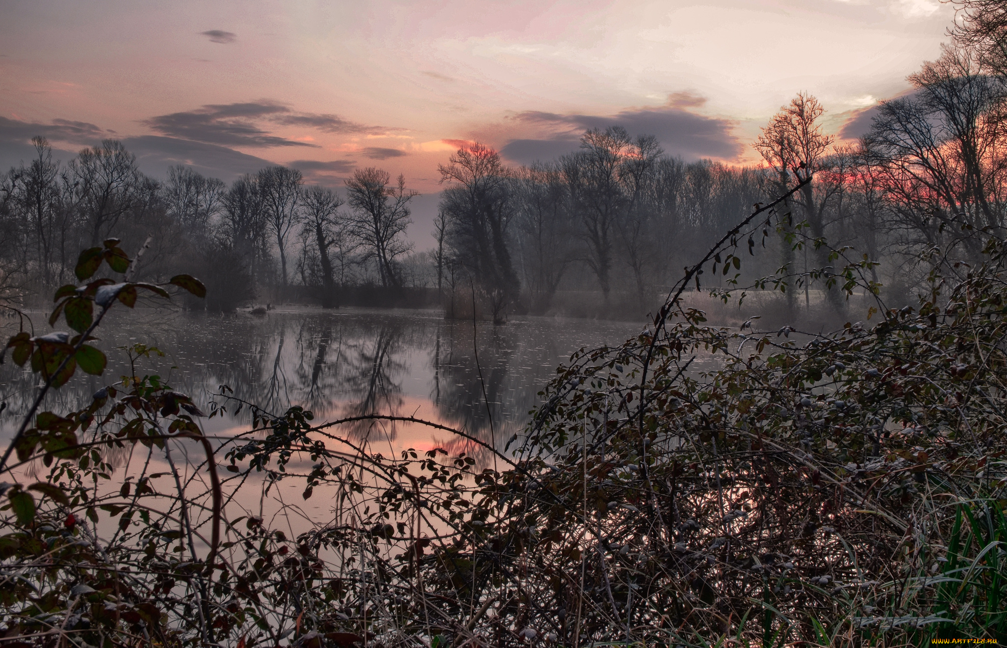 природа, реки, озера, лес, река