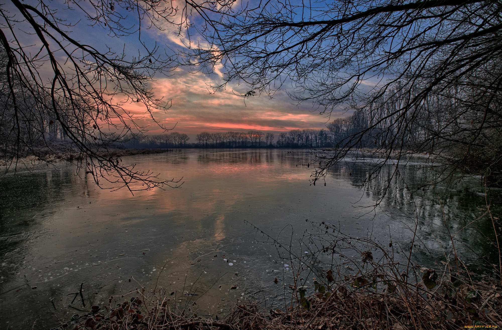 природа, реки, озера, лес, река