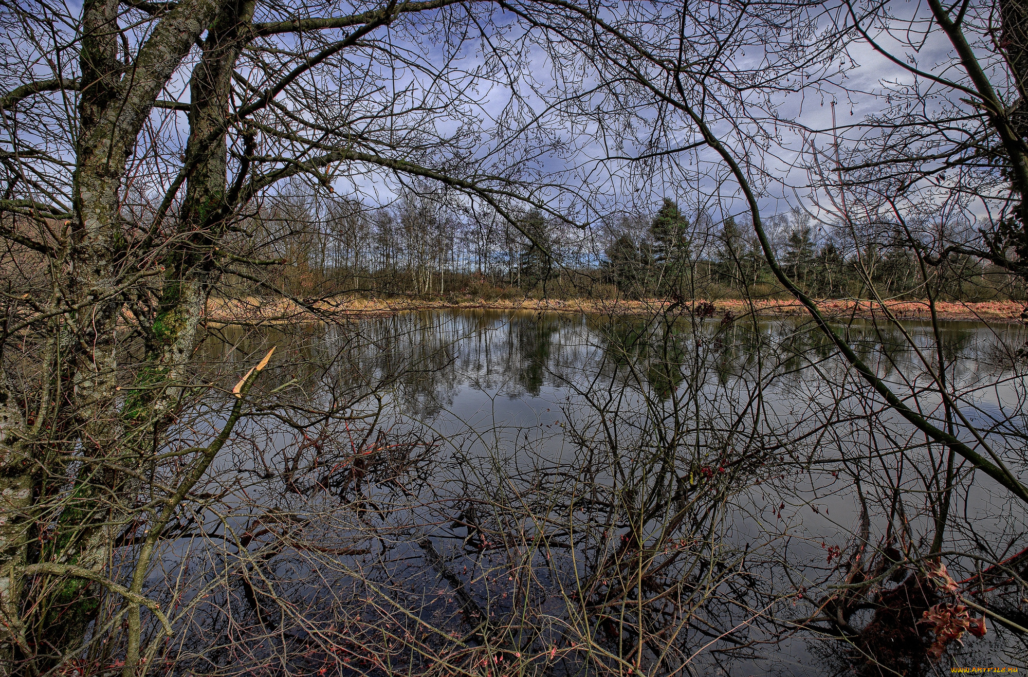 природа, реки, озера, лес, река