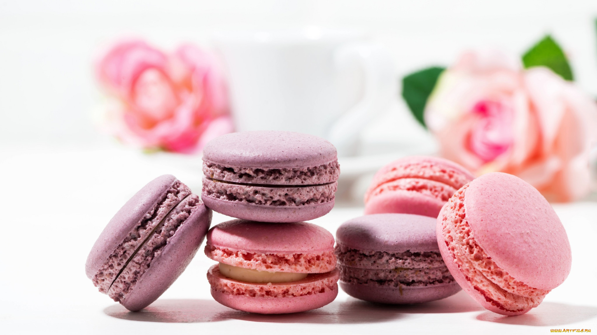 еда, макаруны, розы, лакомство