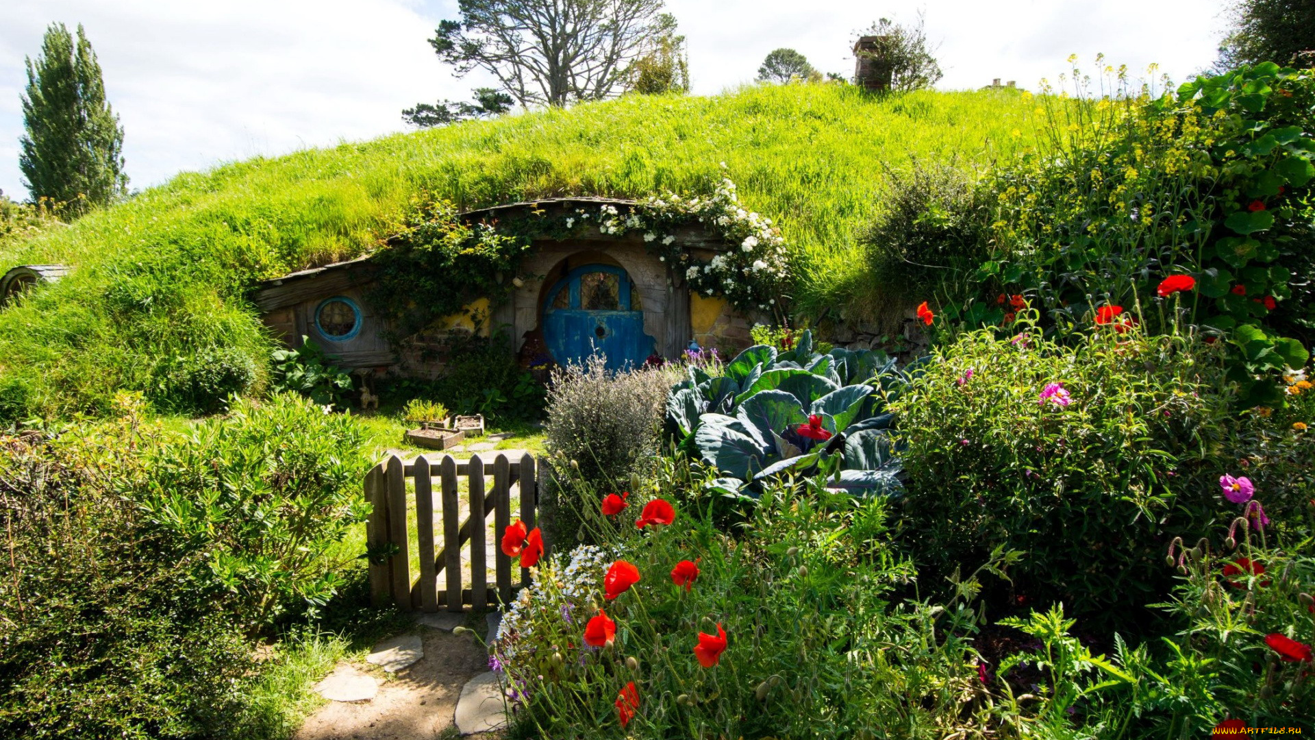 города, -, здания, , дома, new, zealand, matamata, hobbiton, park