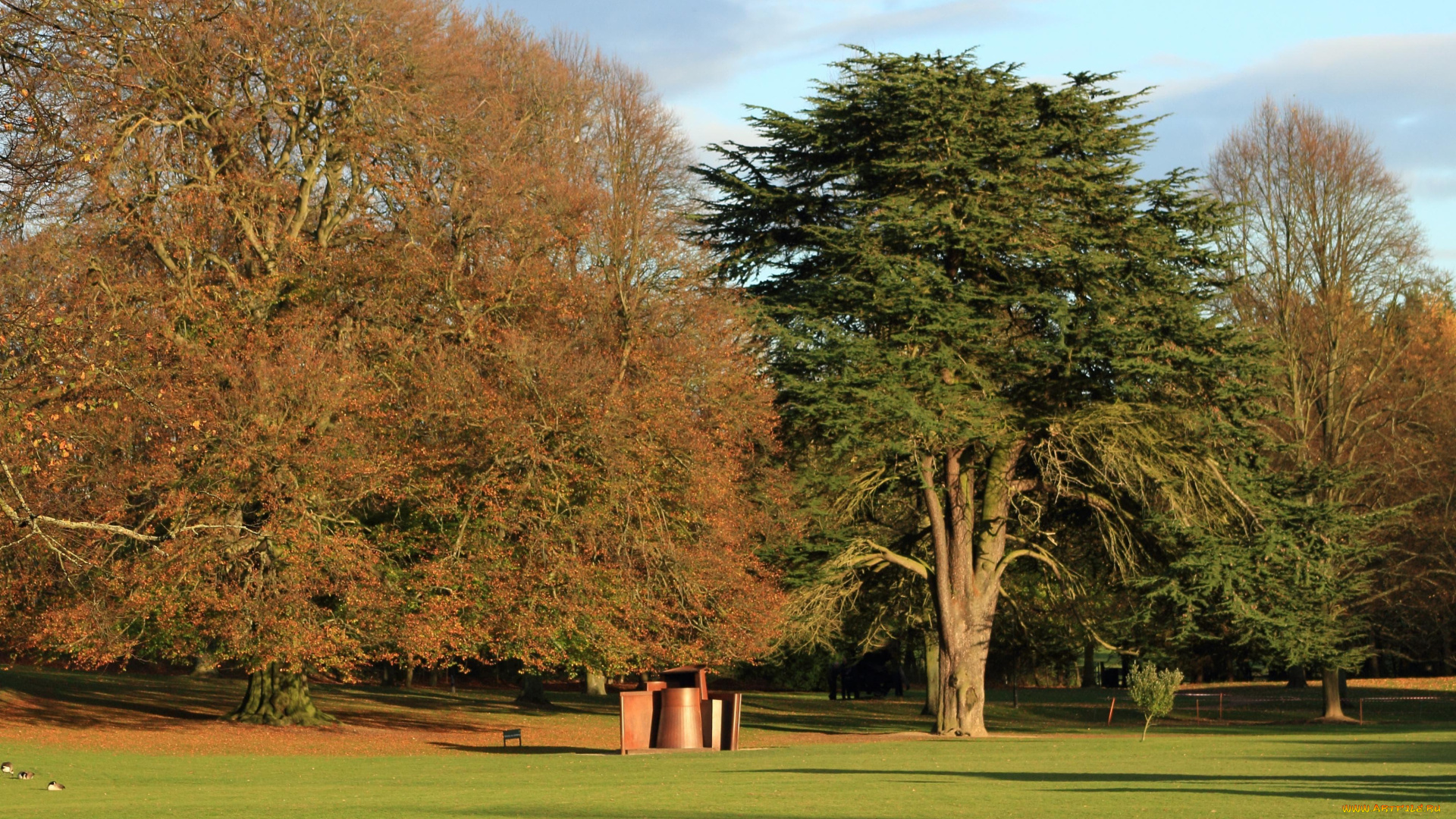 природа, деревья, лужайка, осень