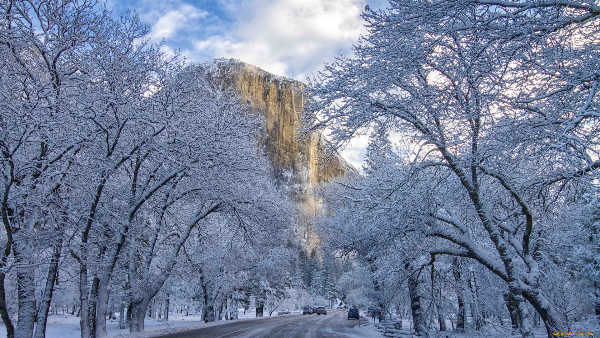 природа, дороги, простор