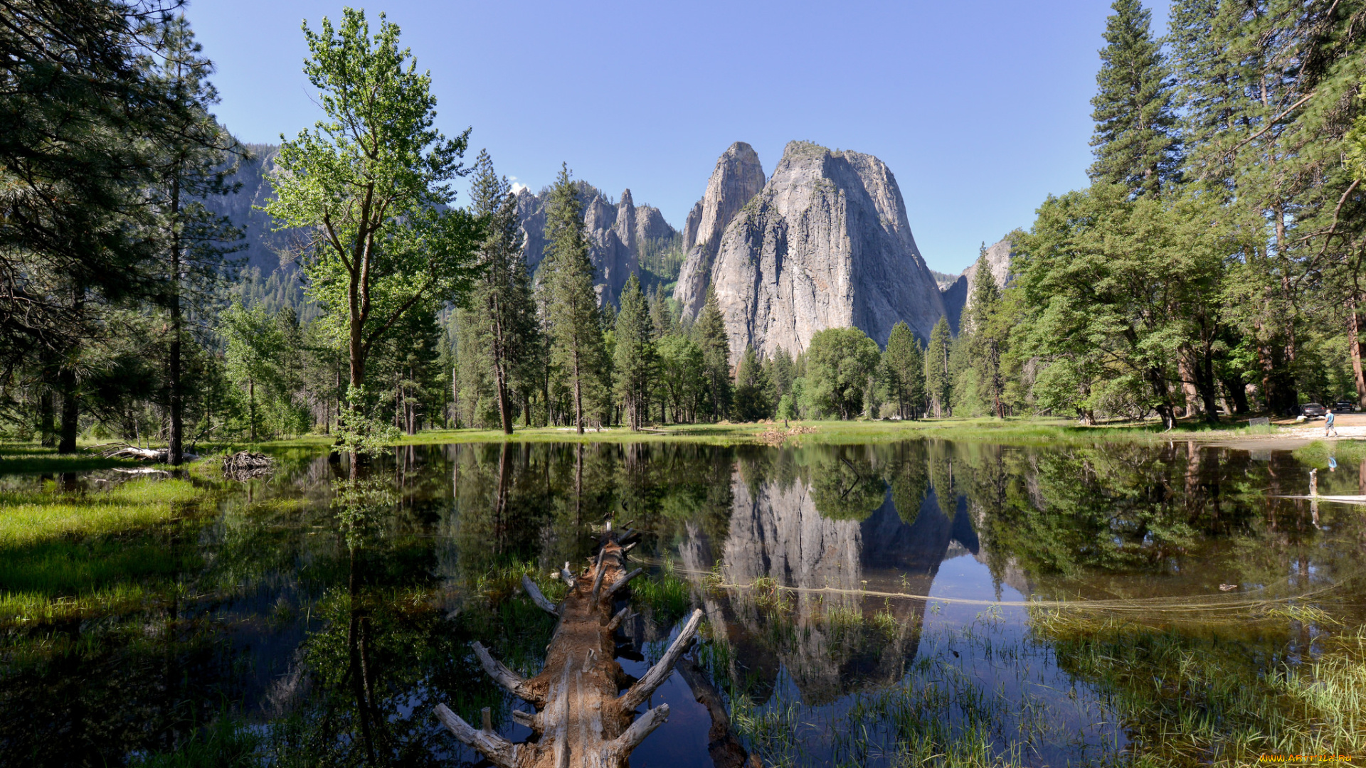 природа, реки, озера, простор