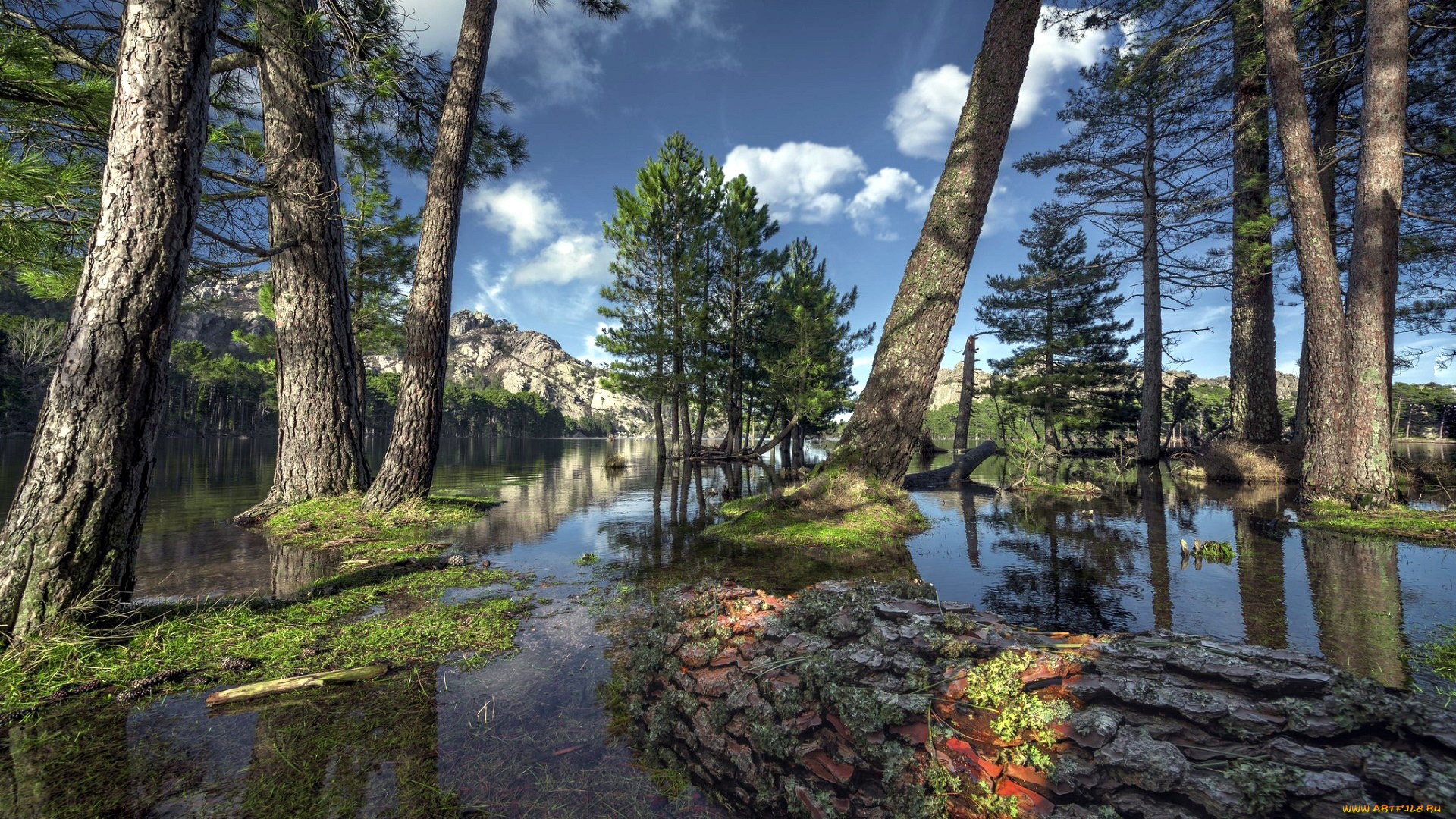 природа, реки, озера, река, деревья, горы