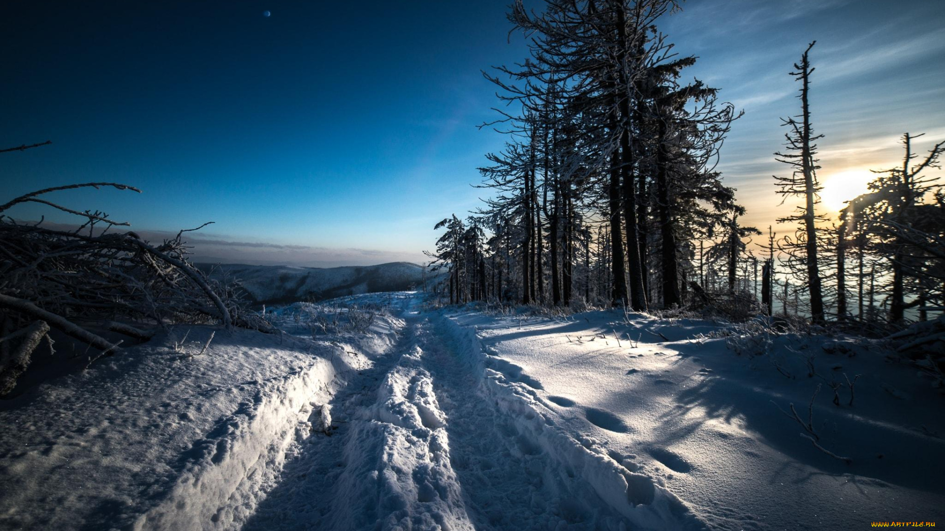 природа, зима, снег, небо, деревья, облака, колея, хворост