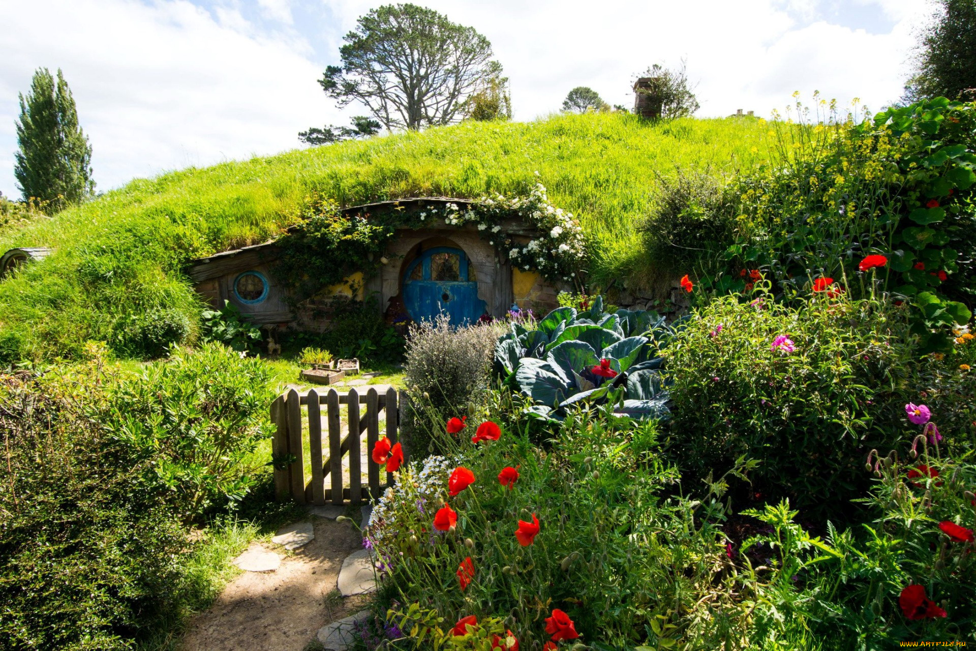 города, -, здания, , дома, new, zealand, matamata, hobbiton, park