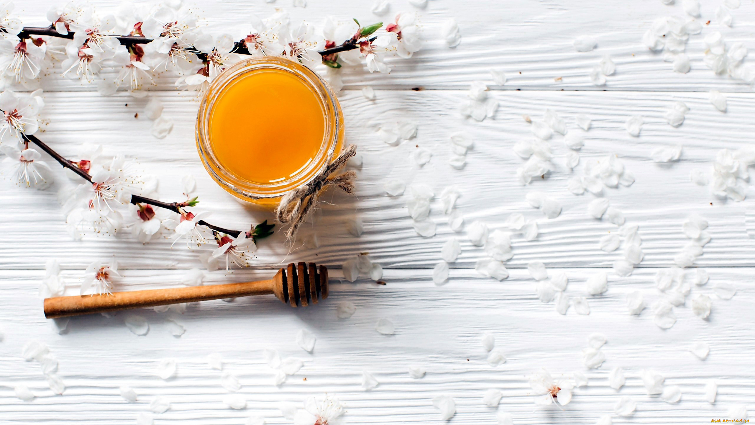 еда, мёд, , варенье, , повидло, , джем, банка, цветы, ветка, мед