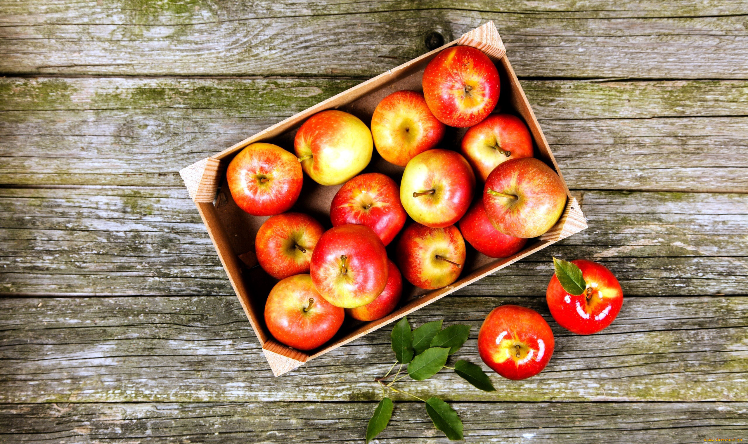еда, Яблоки, яблоки, ящик
