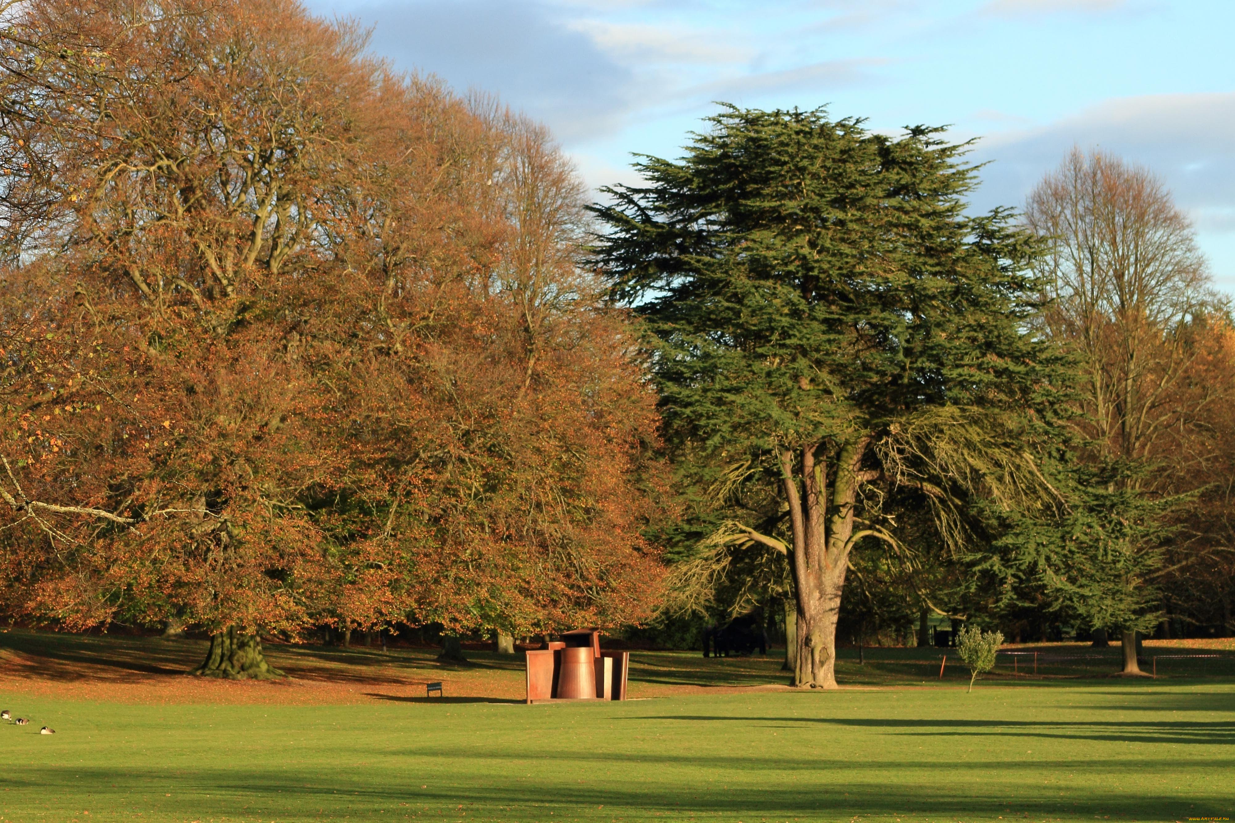 природа, деревья, лужайка, осень