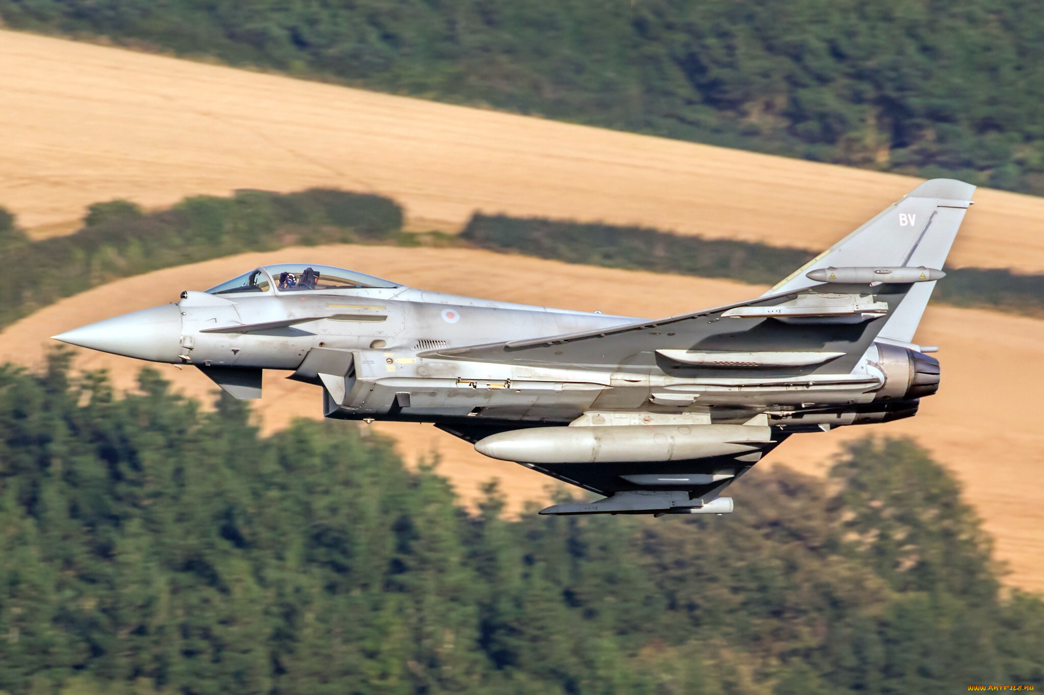 авиация, боевые, самолёты, ввс