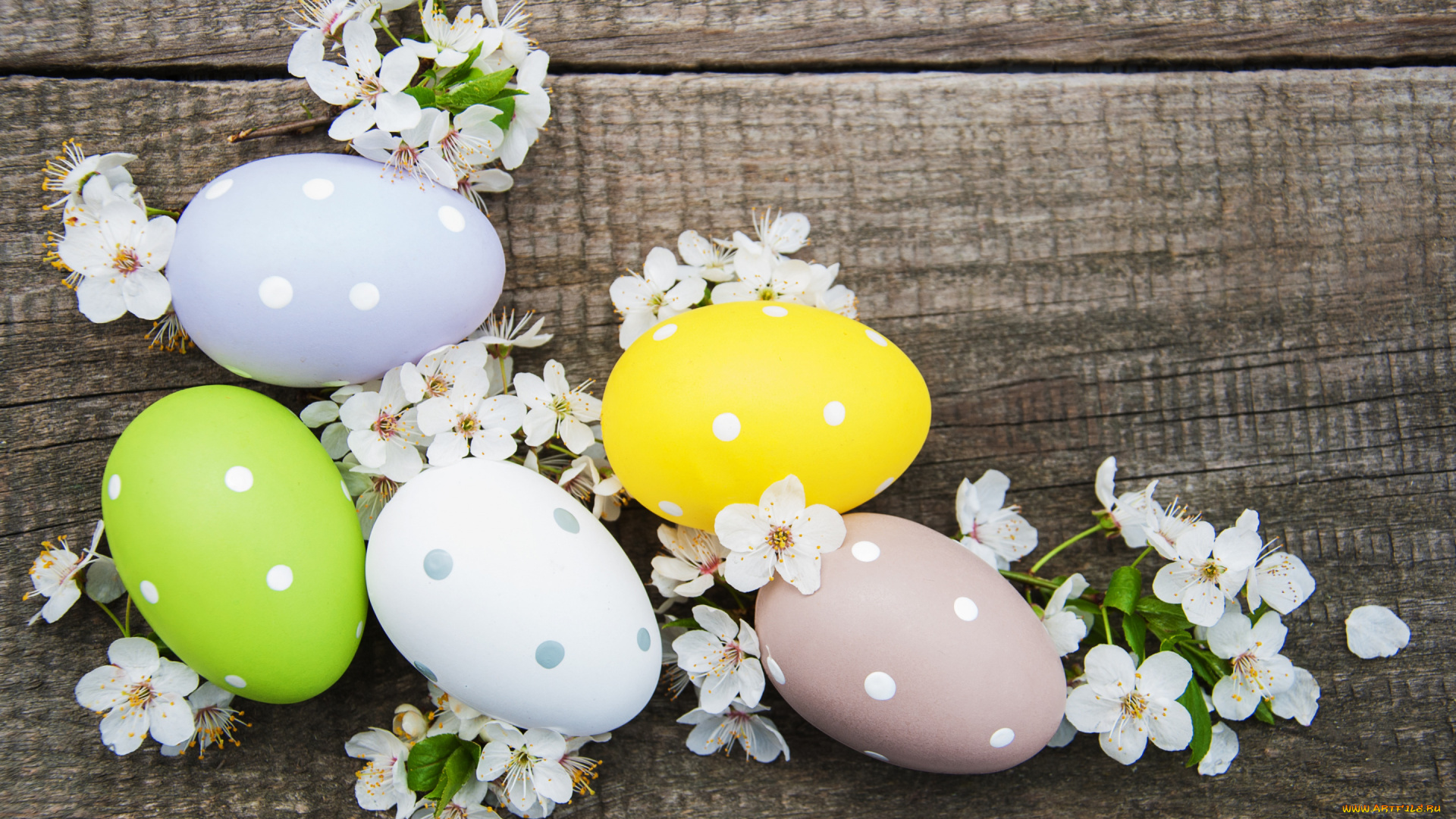 праздничные, пасха, цветы, яйца, colorful, happy, wood, blossom, flowers, spring, easter, eggs, decoration