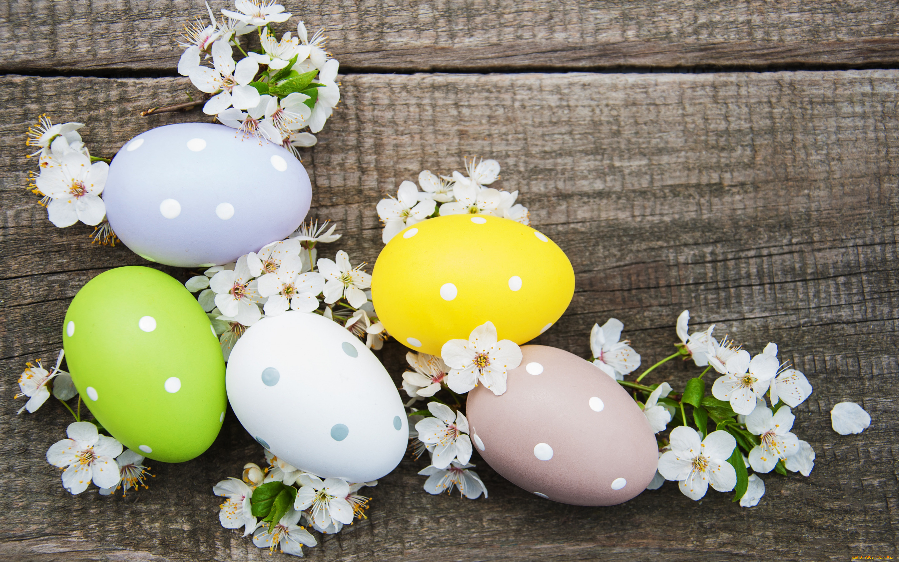 праздничные, пасха, цветы, яйца, colorful, happy, wood, blossom, flowers, spring, easter, eggs, decoration