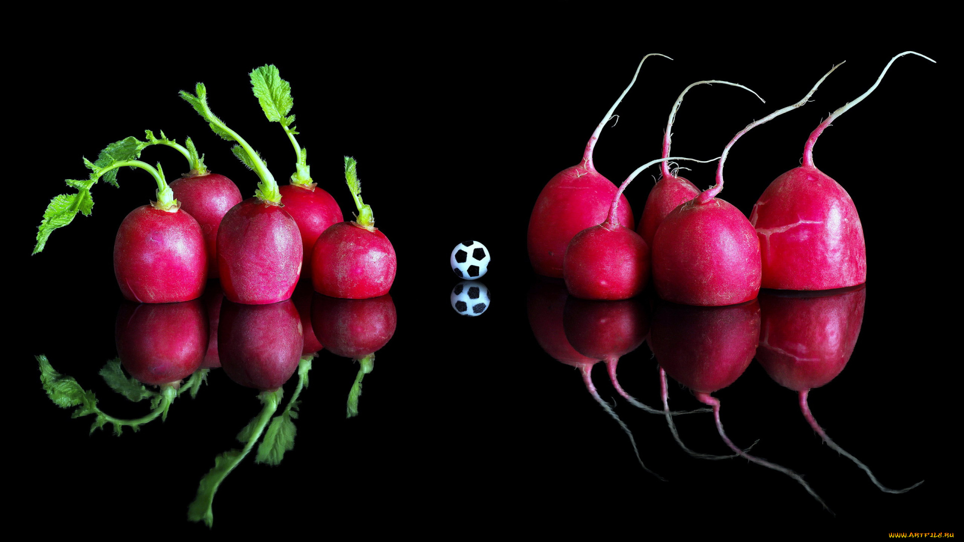 еда, редис, , репа, , редька, красный