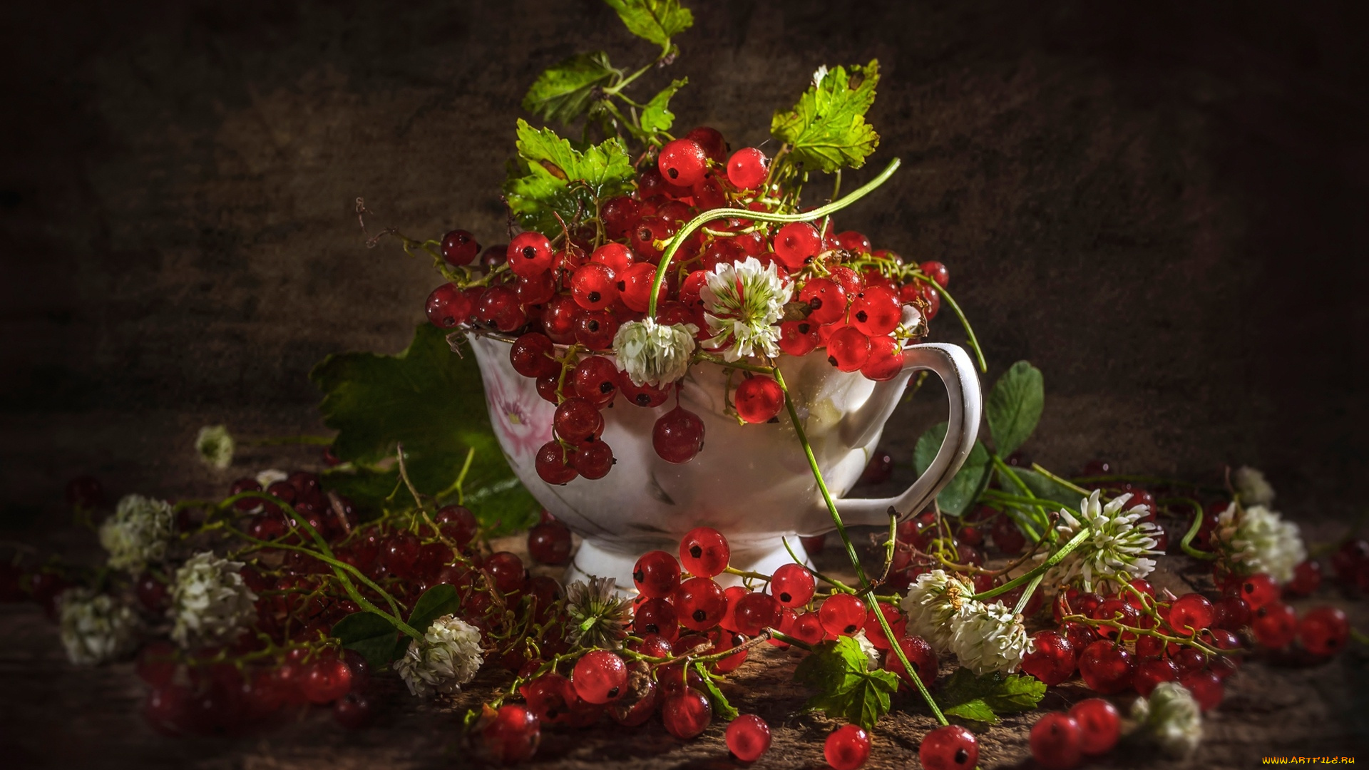 еда, смородина, ягоды, красная