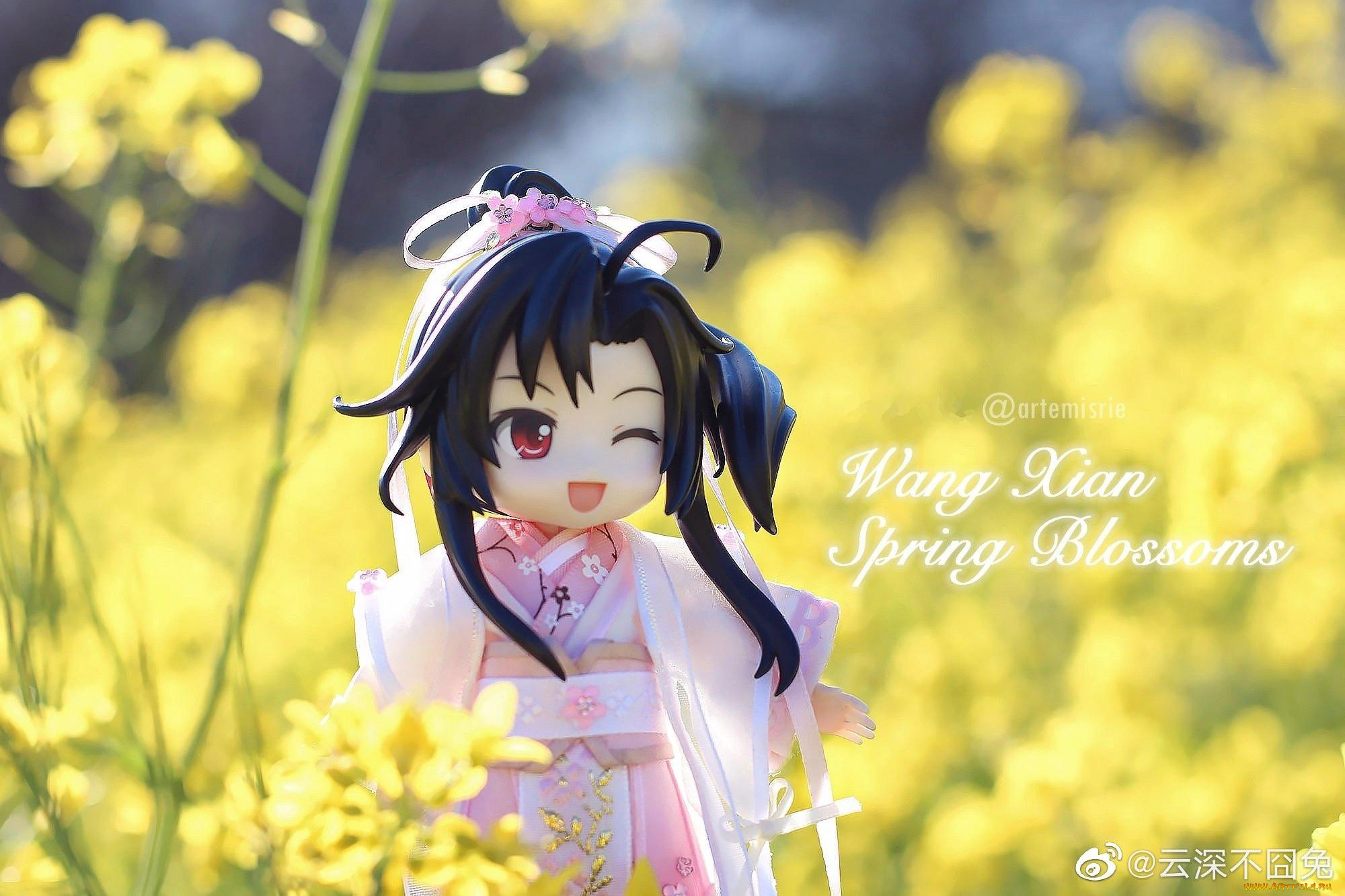 разное, игрушки, вэй, усянь, кукла, цветы