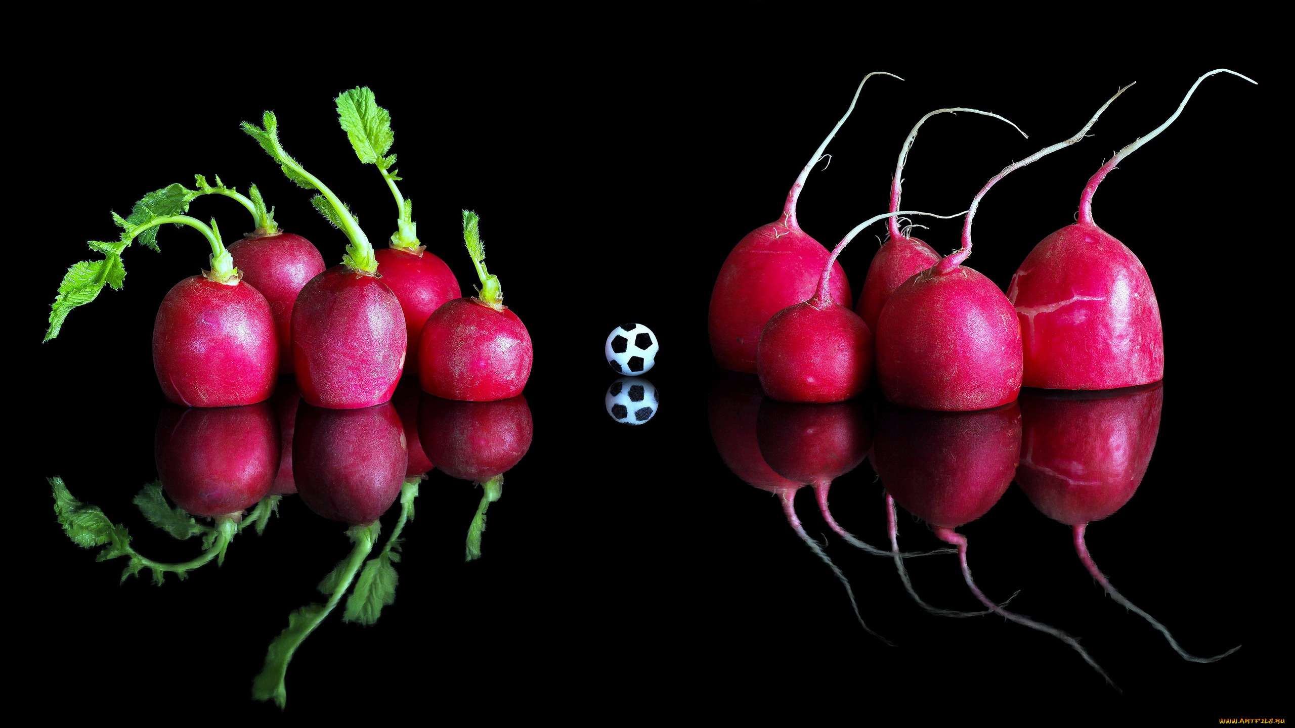 еда, редис, , репа, , редька, красный