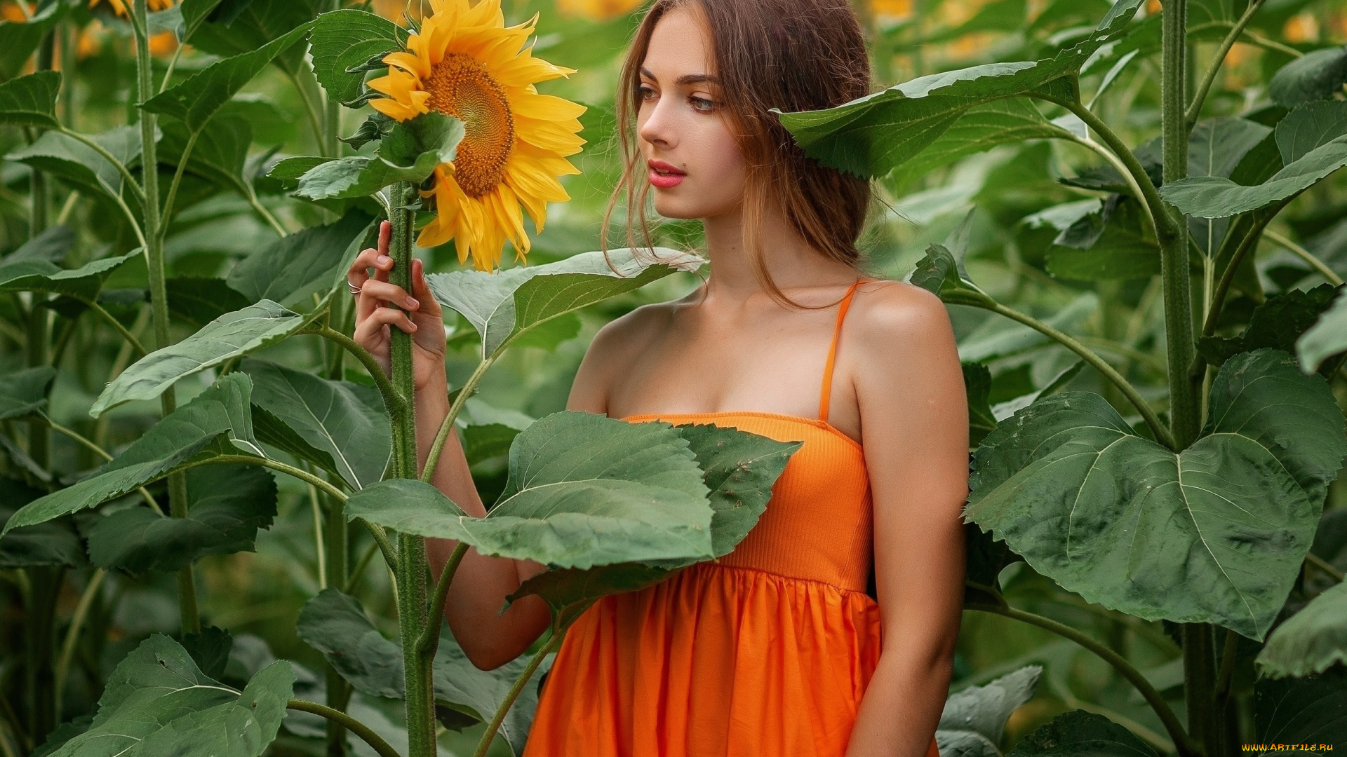 девушки, -, брюнетки, , шатенки, девушка, позирует, оксана, громова