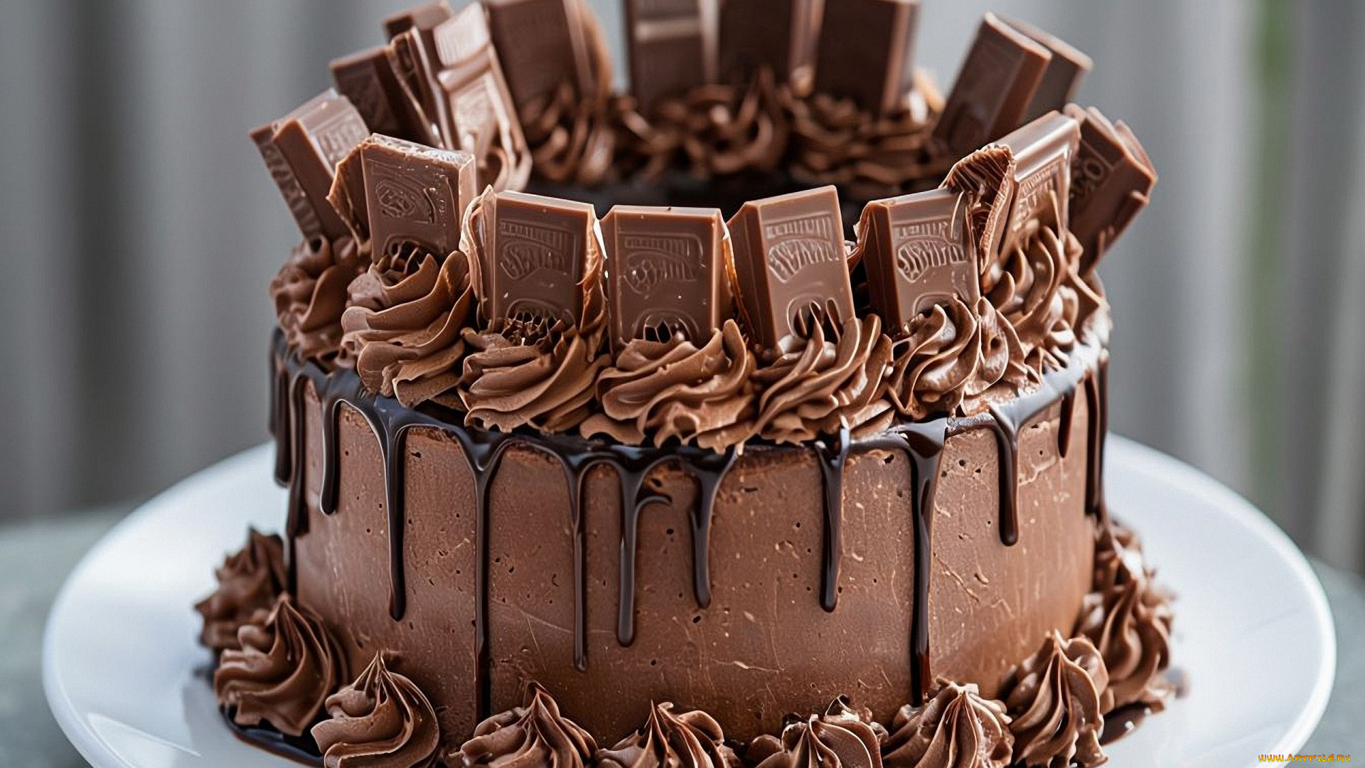 еда, торты, шоколадный, торт, крем