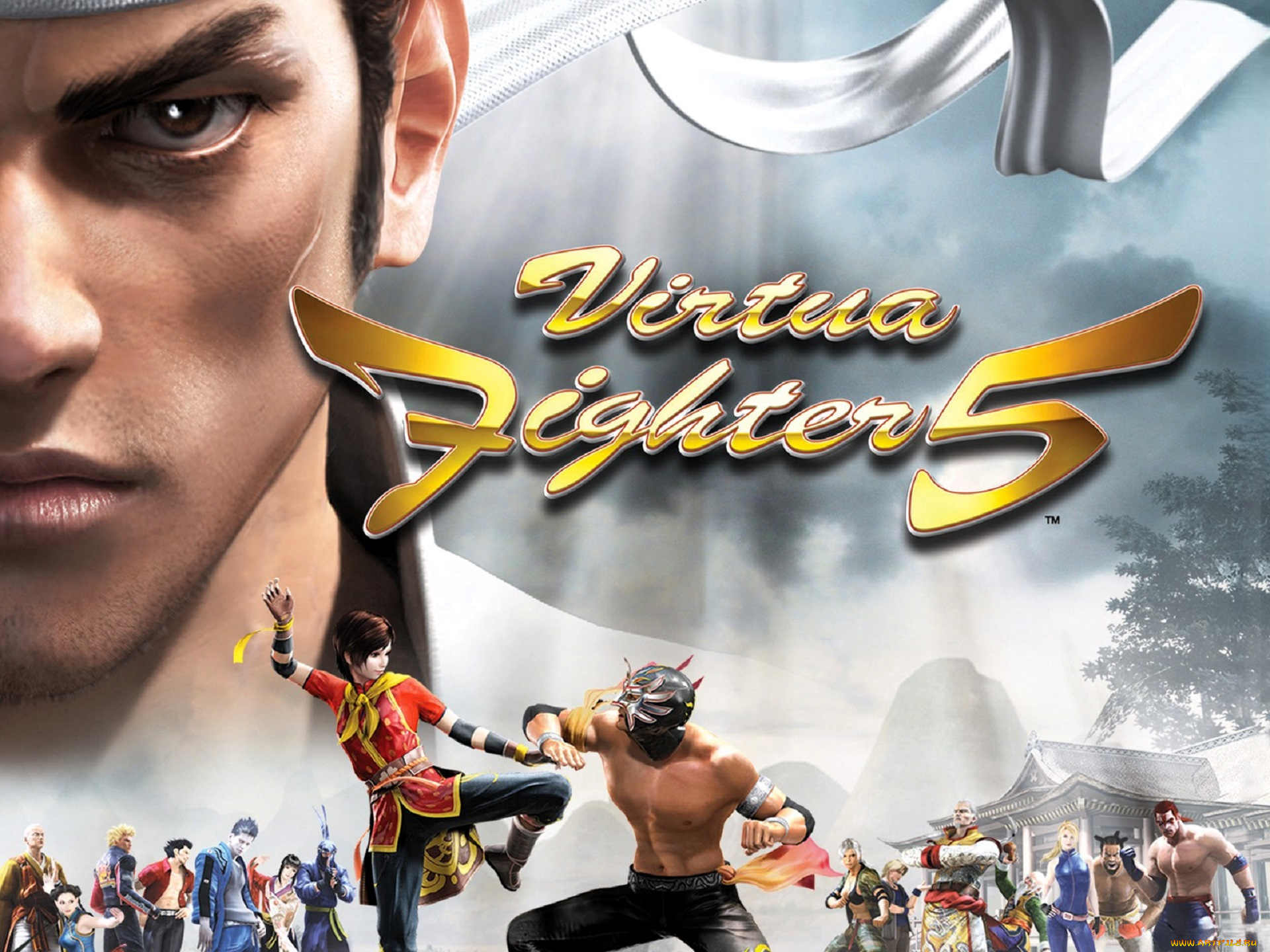 видео, игры, virtua, fighter, 5, персонажи, лицо, поединок
