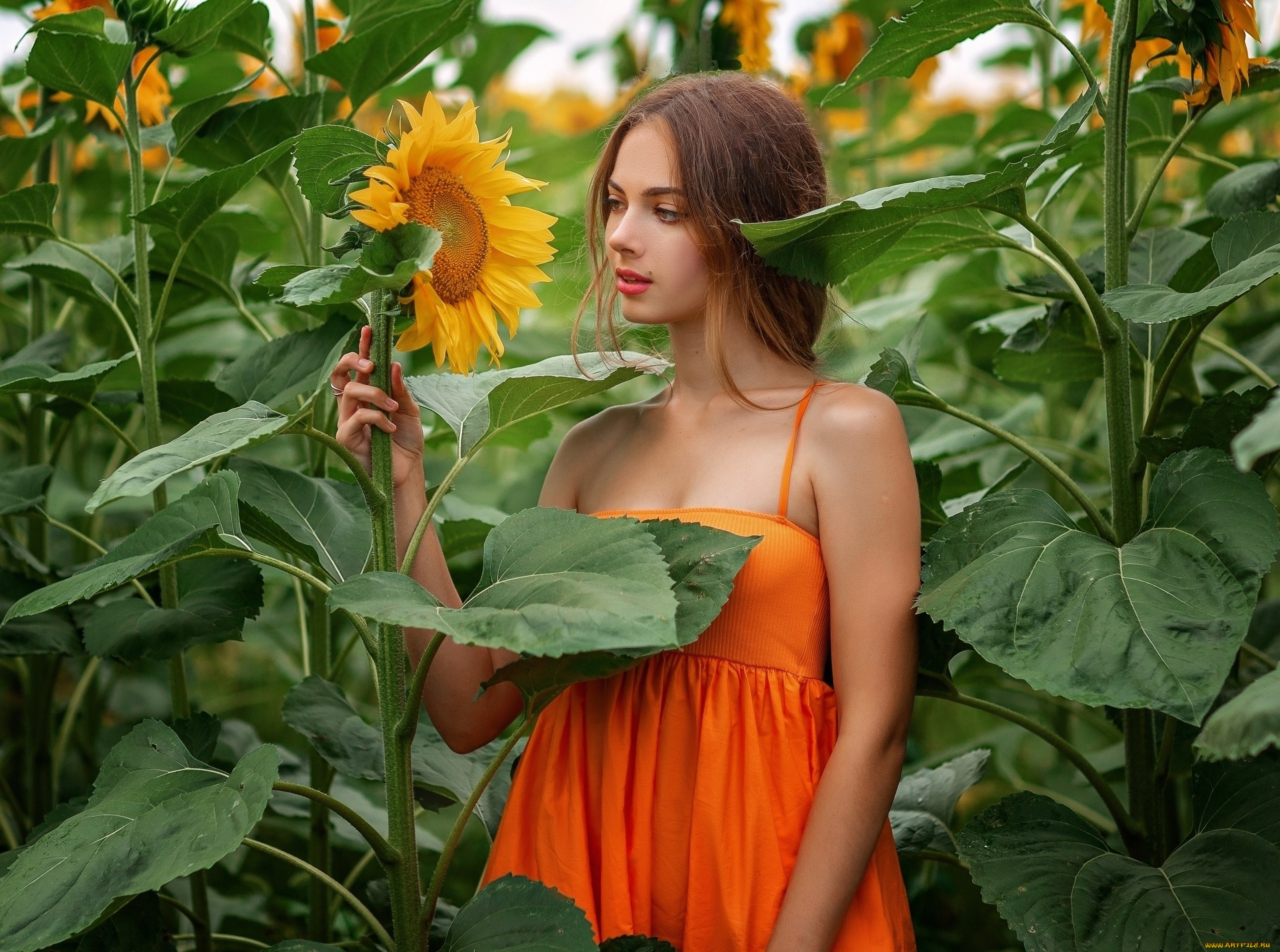 девушки, -, брюнетки, , шатенки, девушка, позирует, оксана, громова