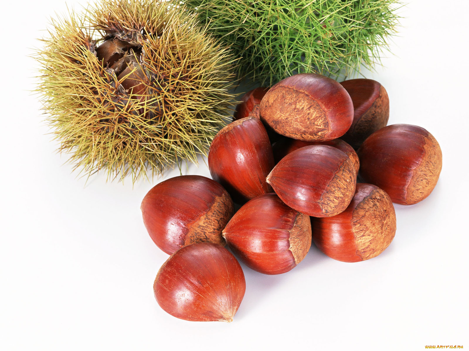 еда, орехи, каштаны