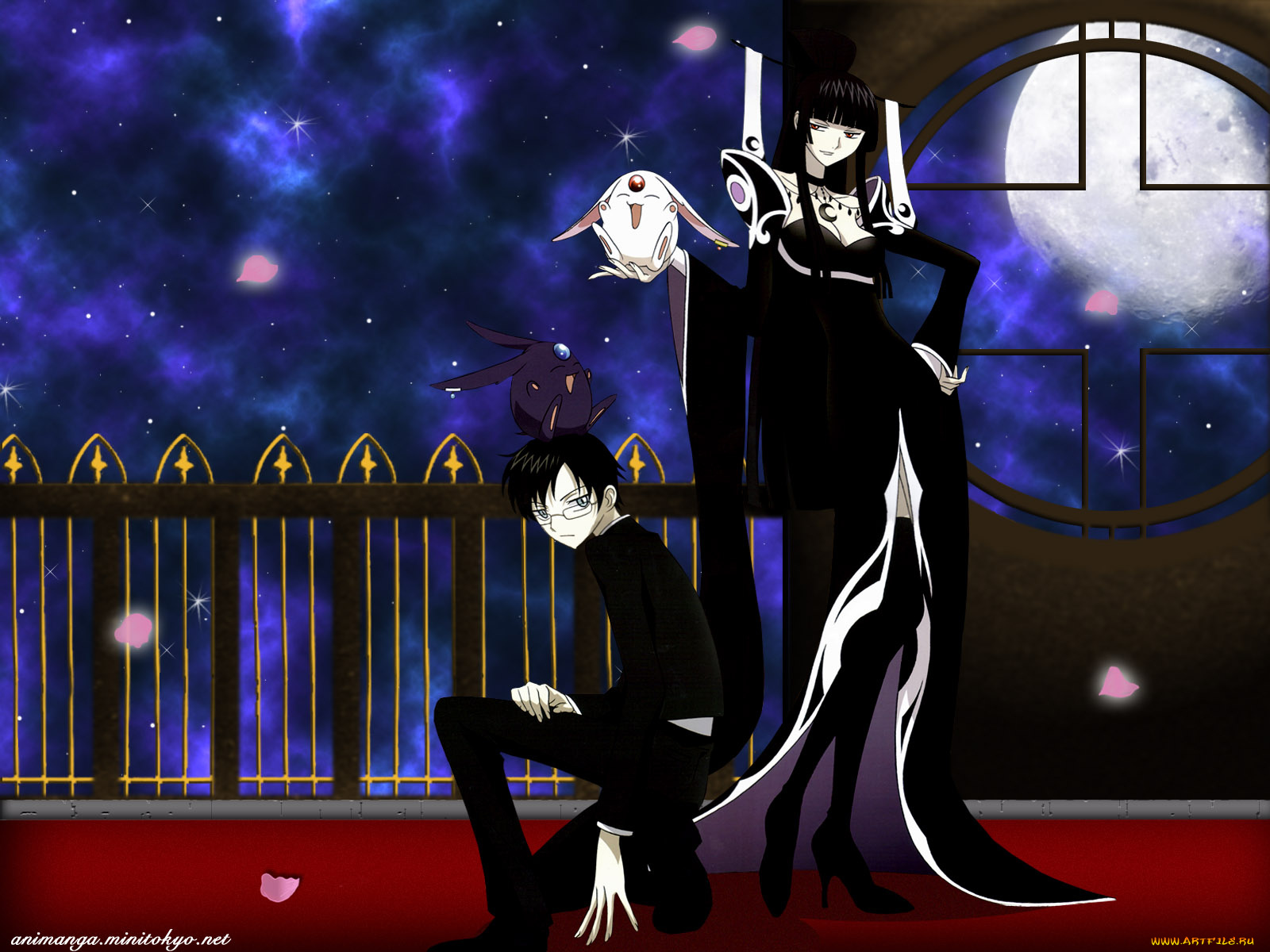 аниме, xxxholic