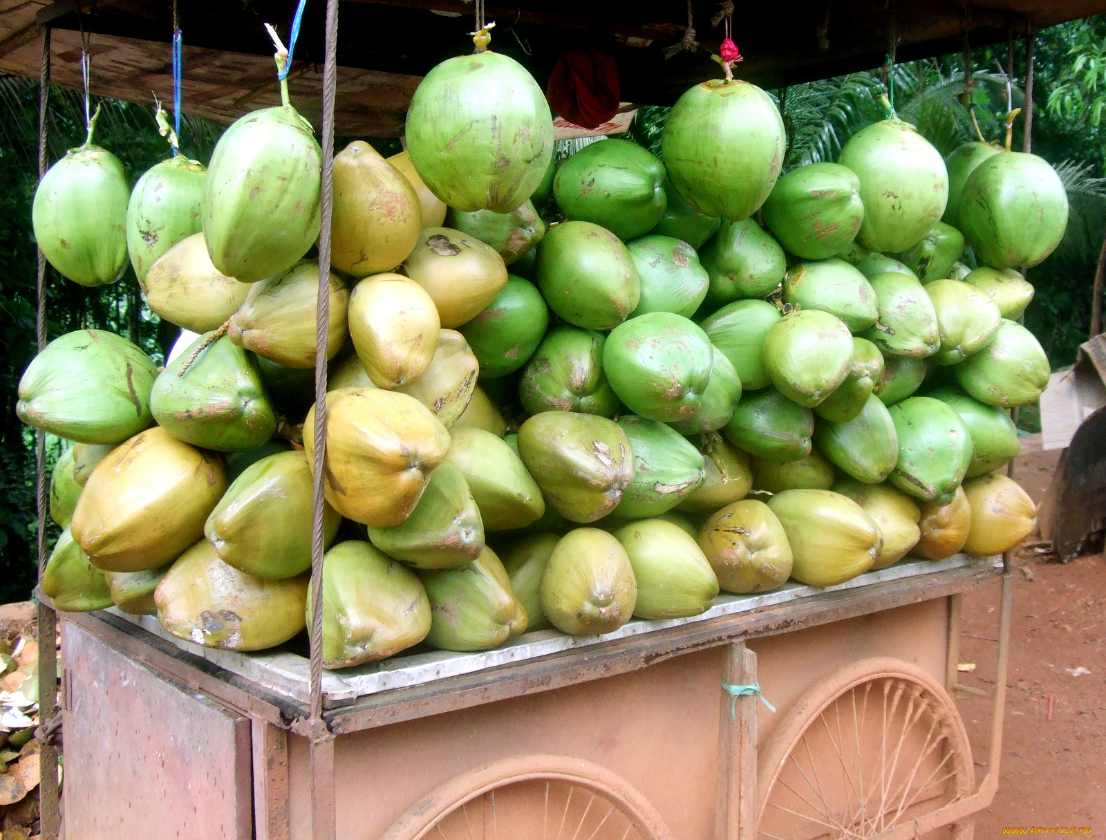 еда, овощи, телега